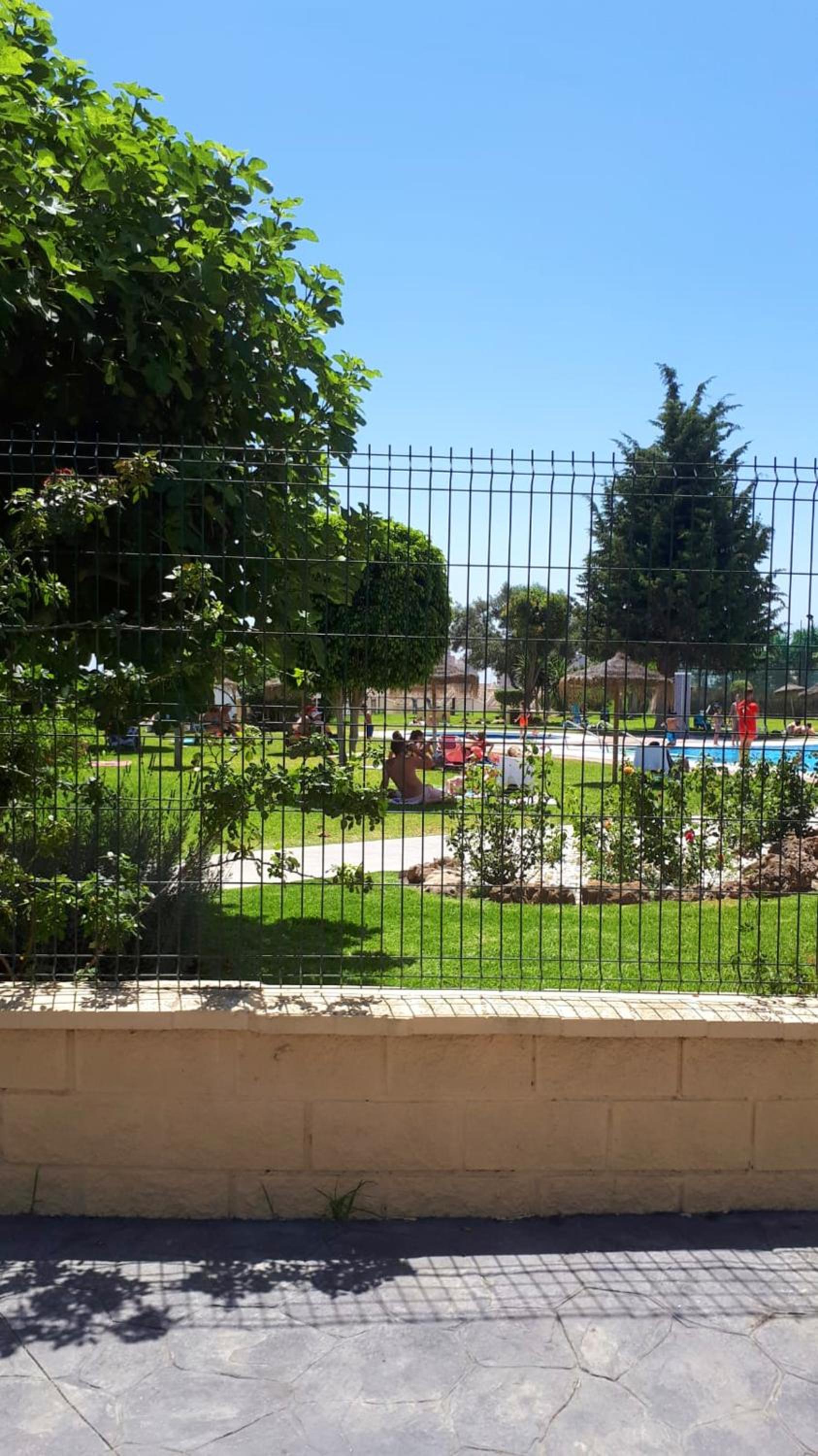 Comfortable Studio in Torremolinos with Shared Pool 40 sqm view 3