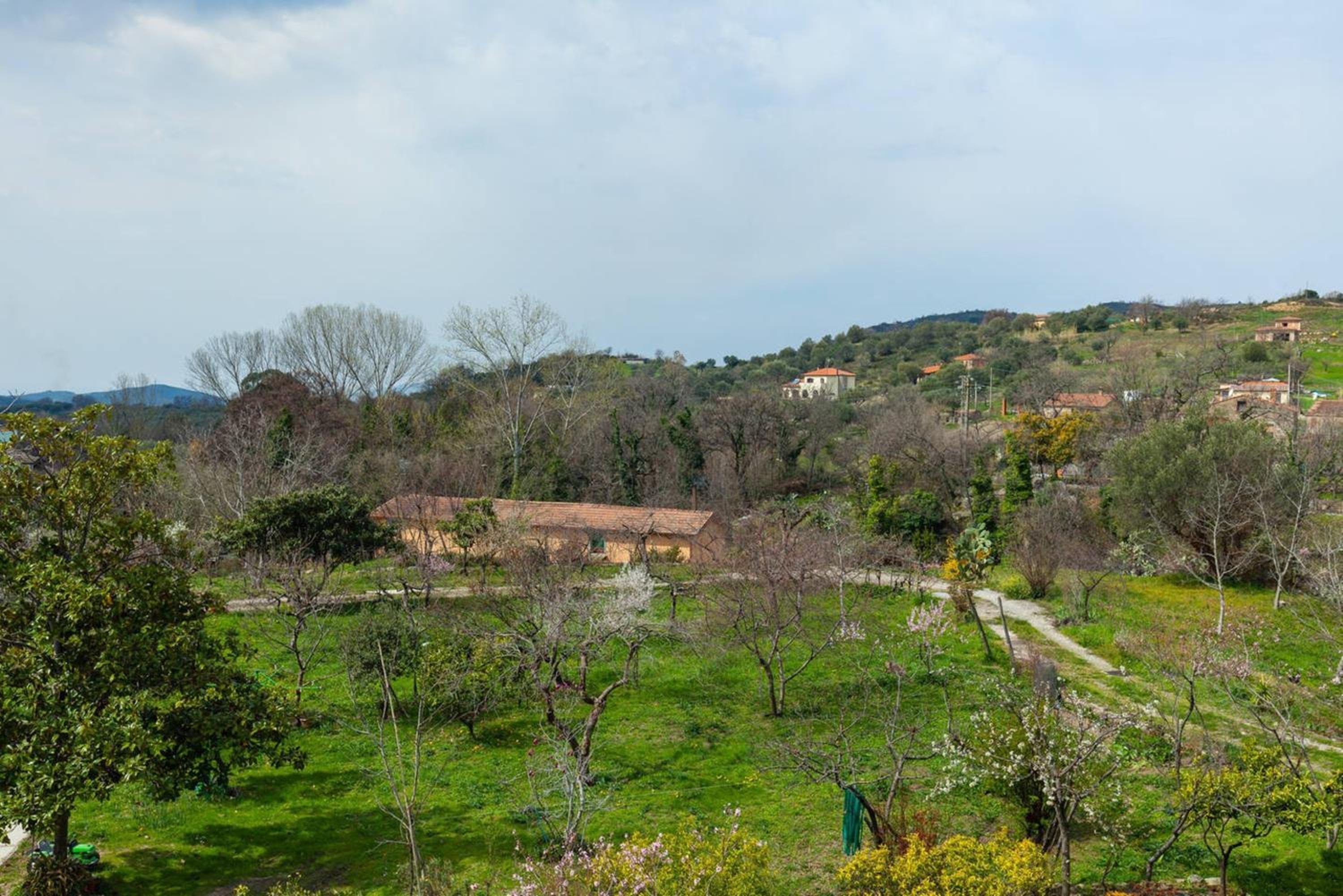 Spacious apartment in Ceraso with mountain view photo 3