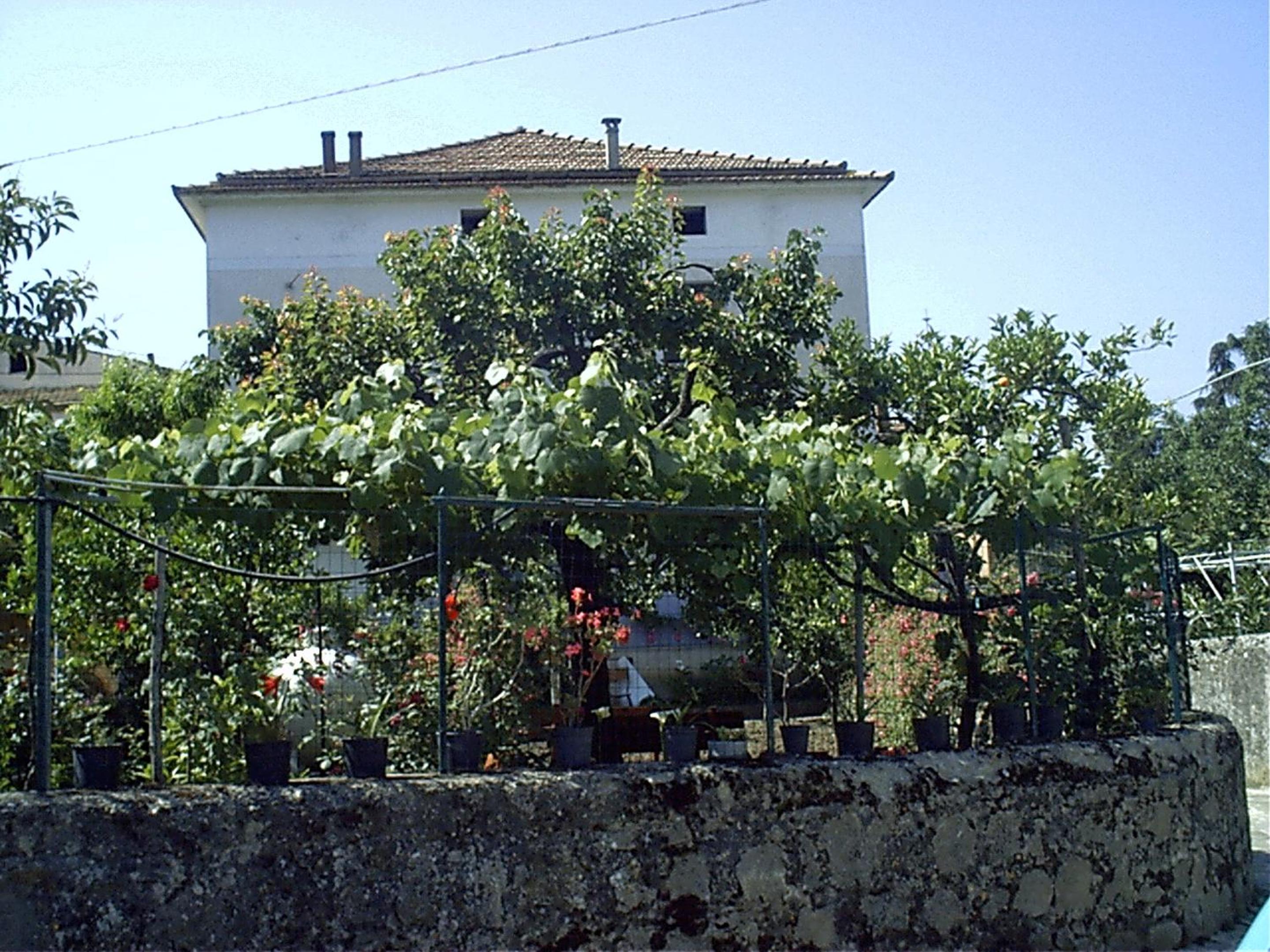 Spacious apartment in Ceraso with mountain view view 5