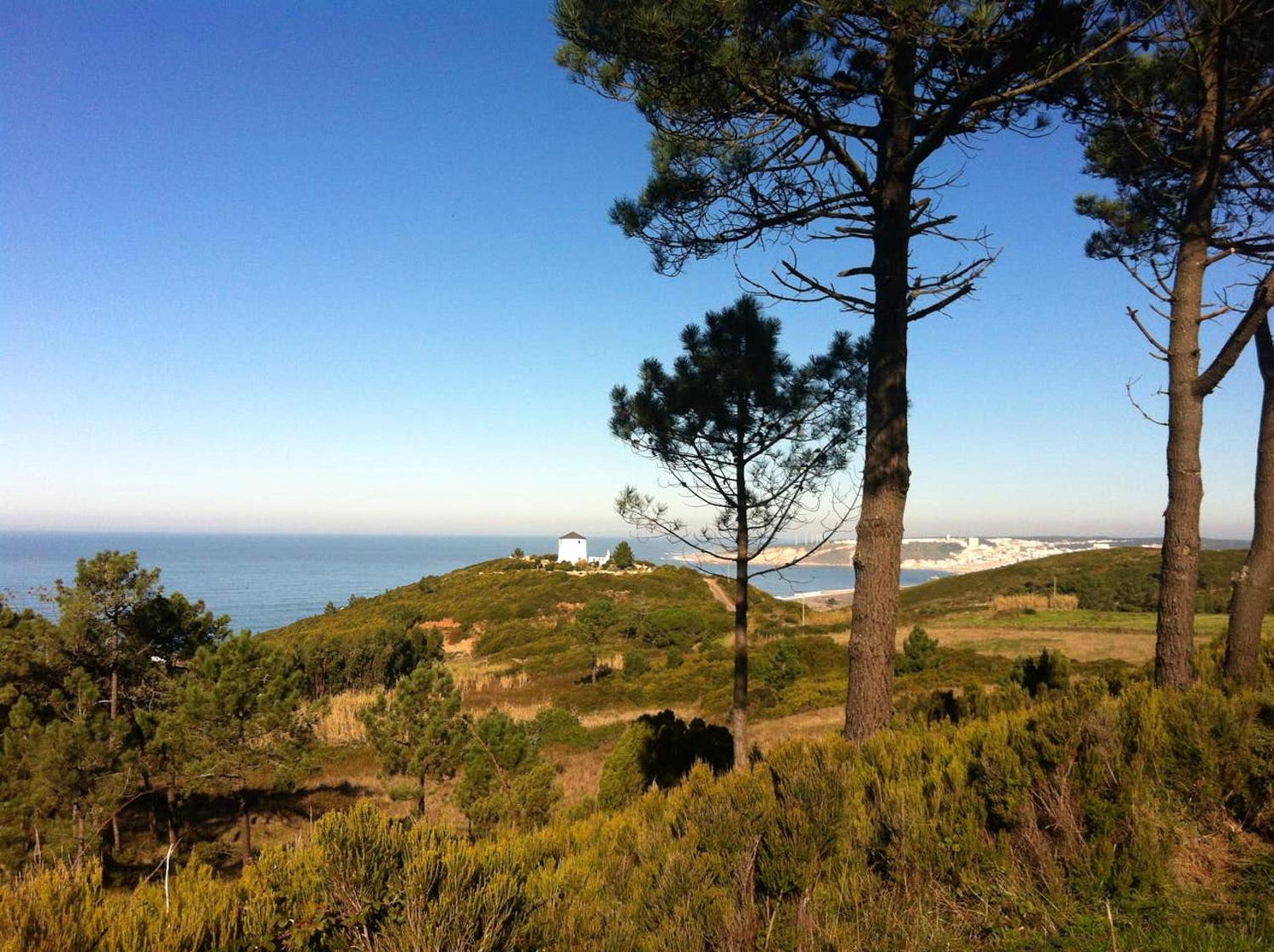 Charming House in Nazaré with Fireplace view 2