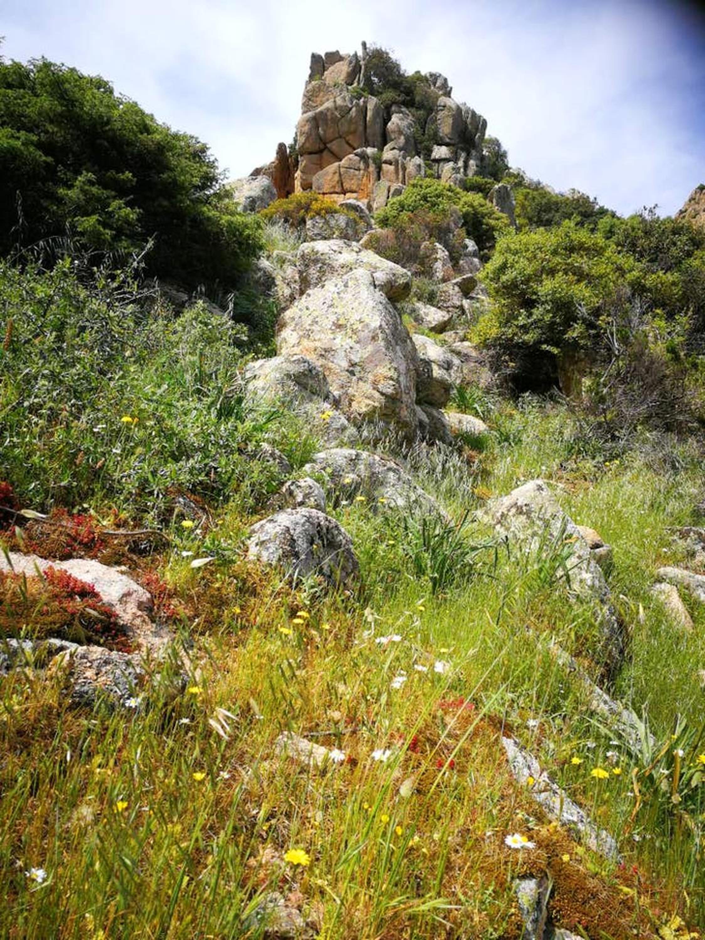 Photo 30