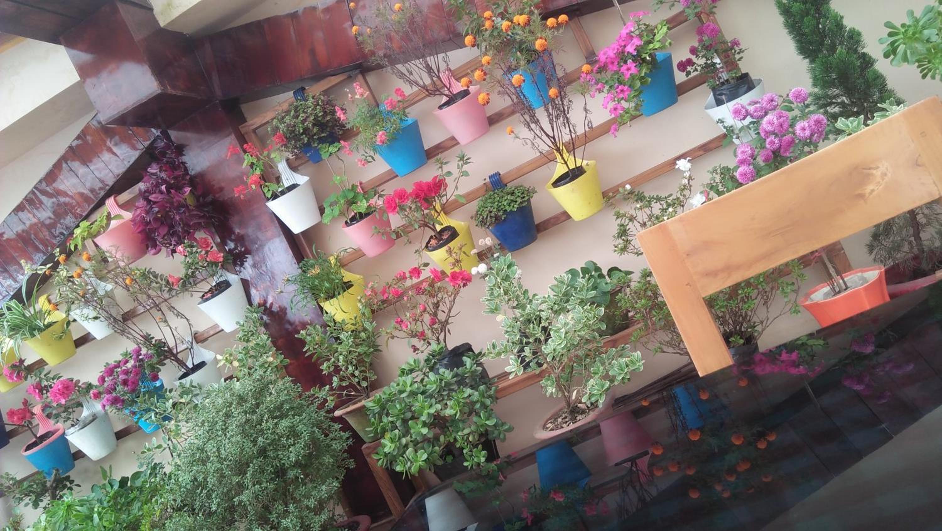 shalom inn home stay view 3