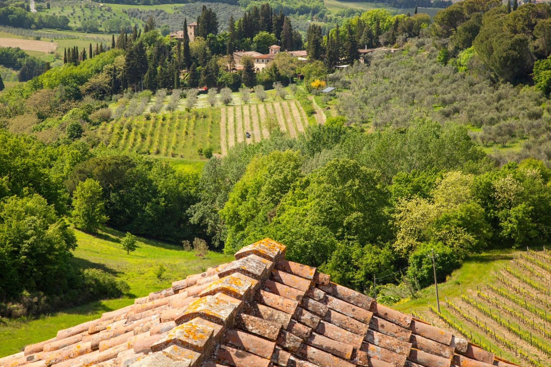Poderi in Chianti
