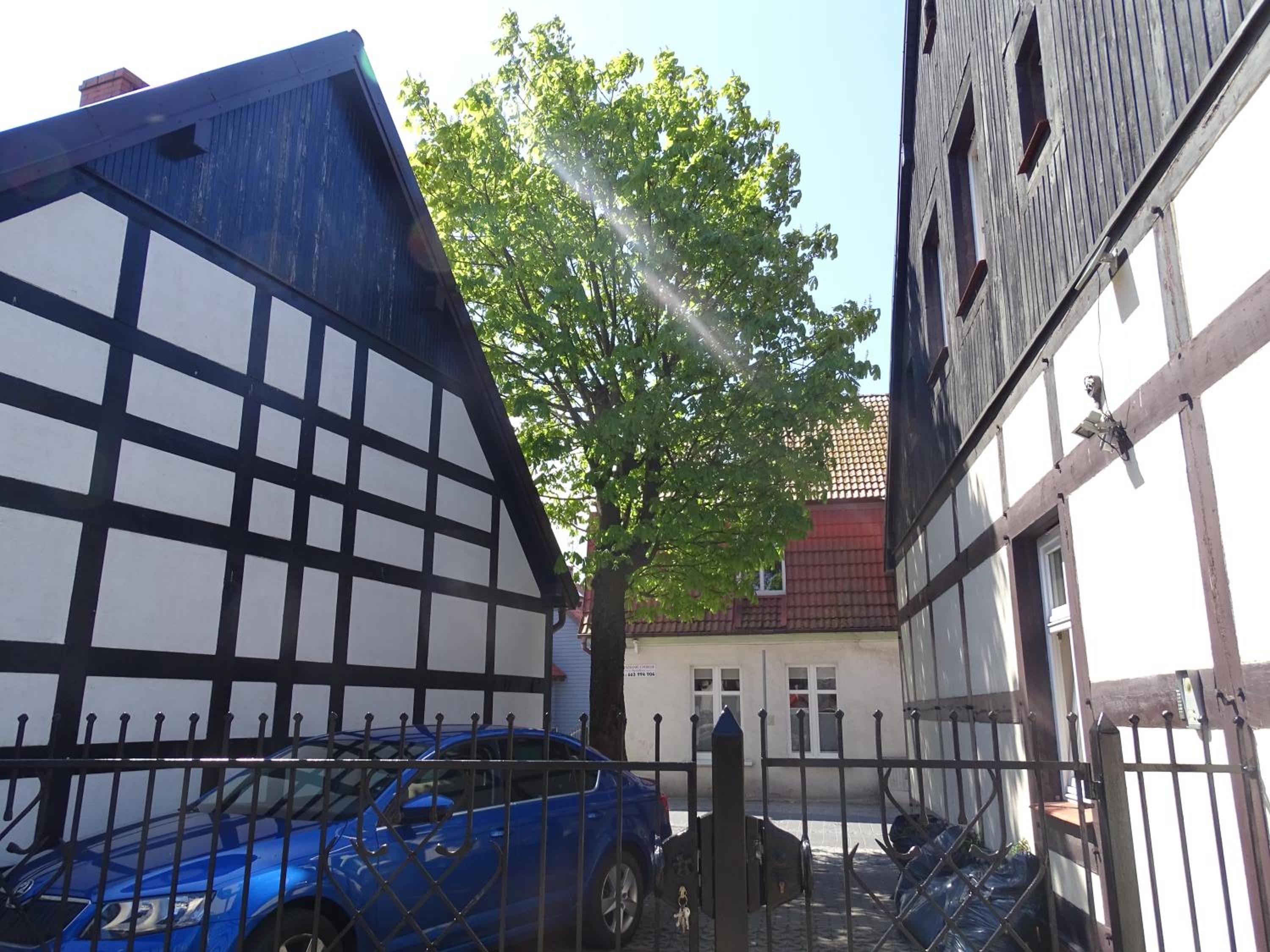 Photo 46
