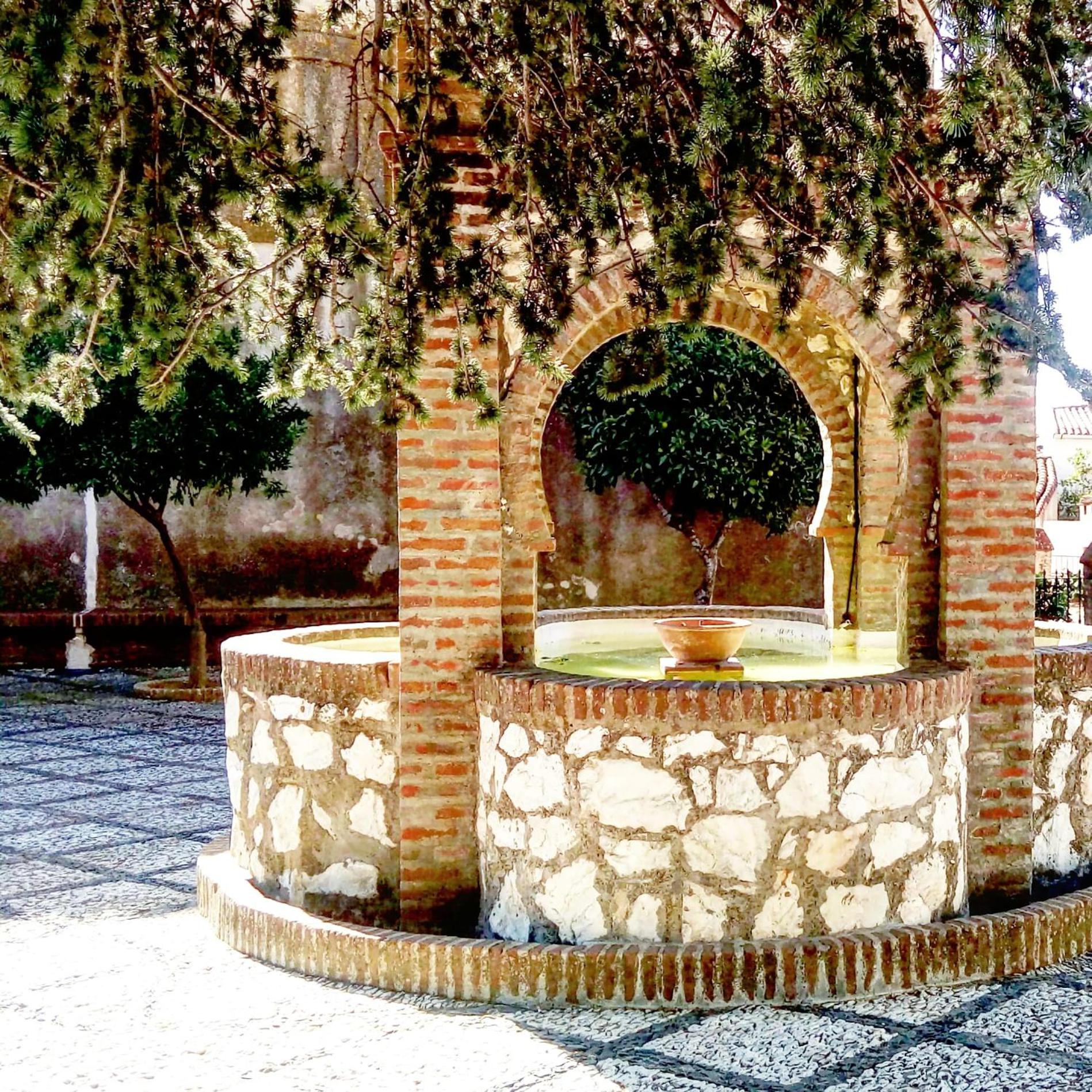 Photo 20