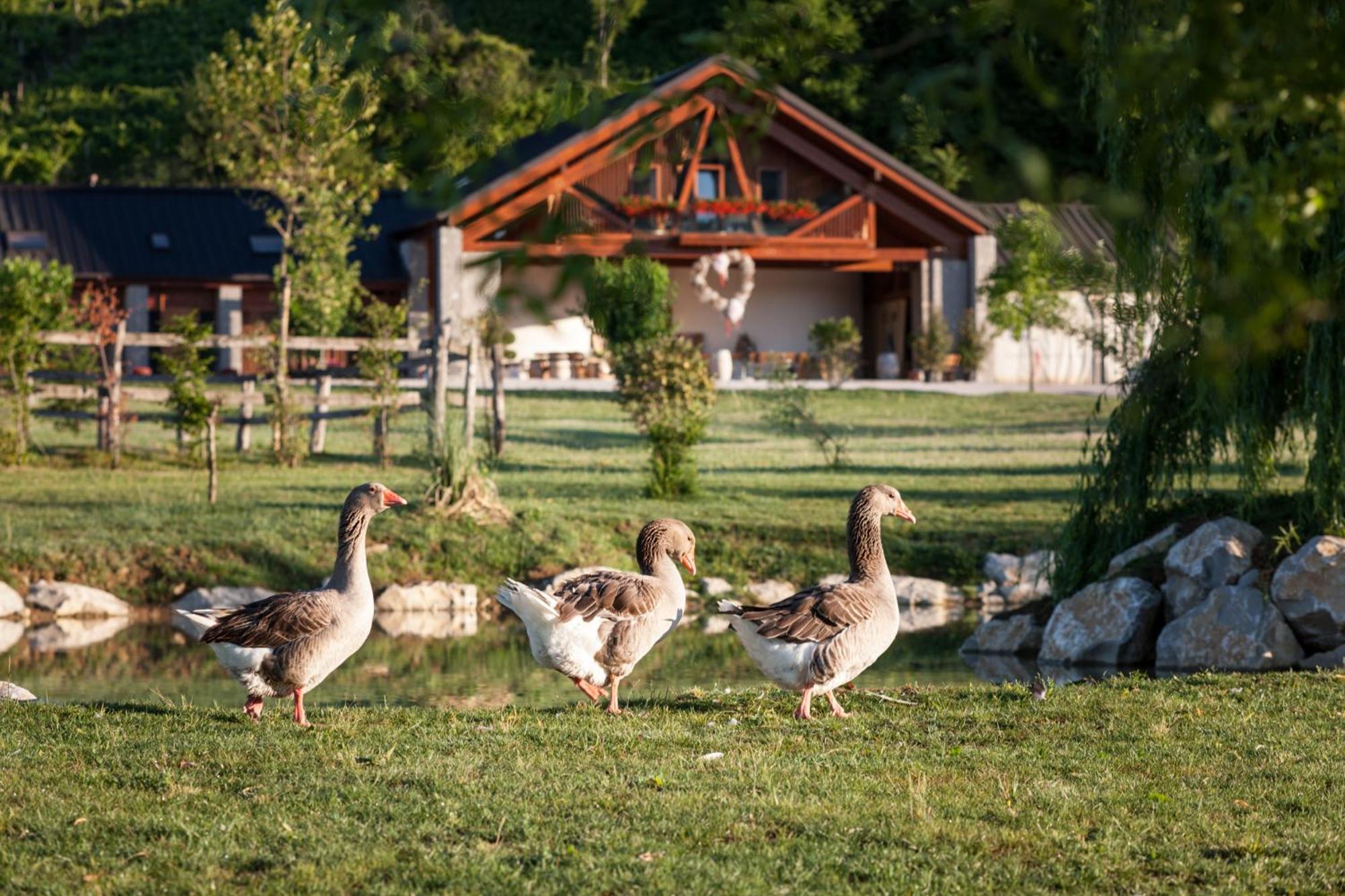 Agriturismo I Comelli