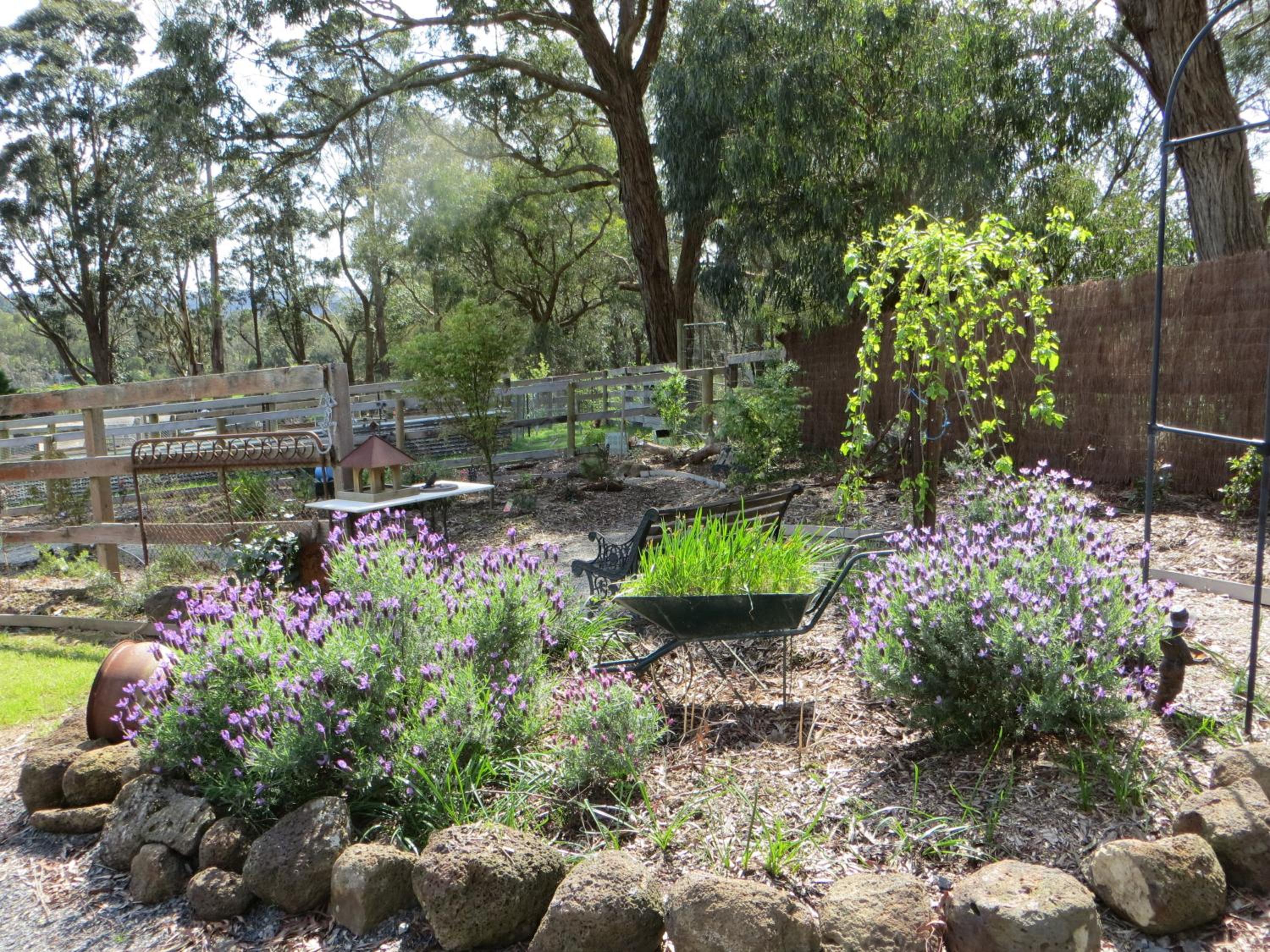 Honeyeater Cottage