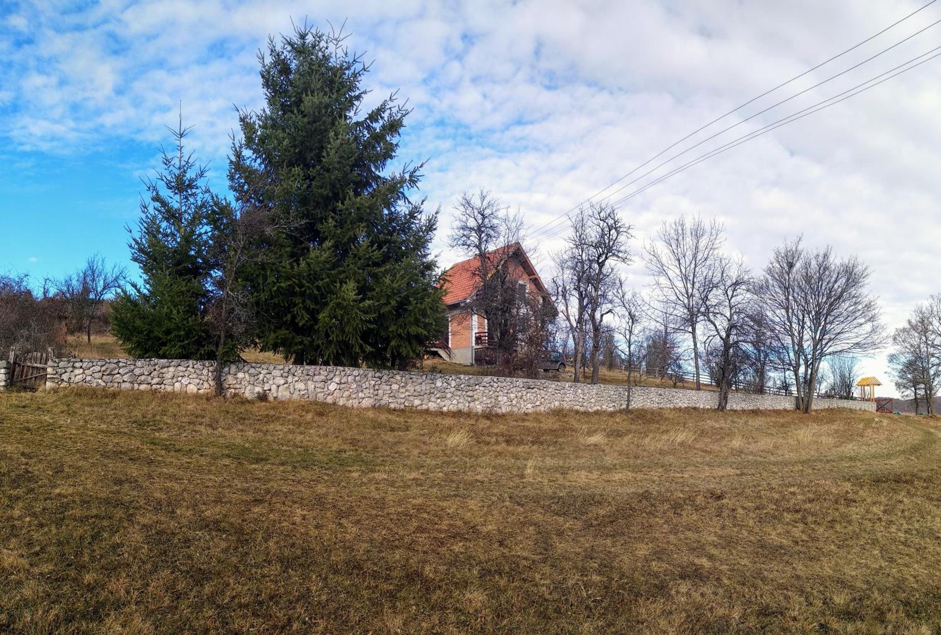 Photo 46