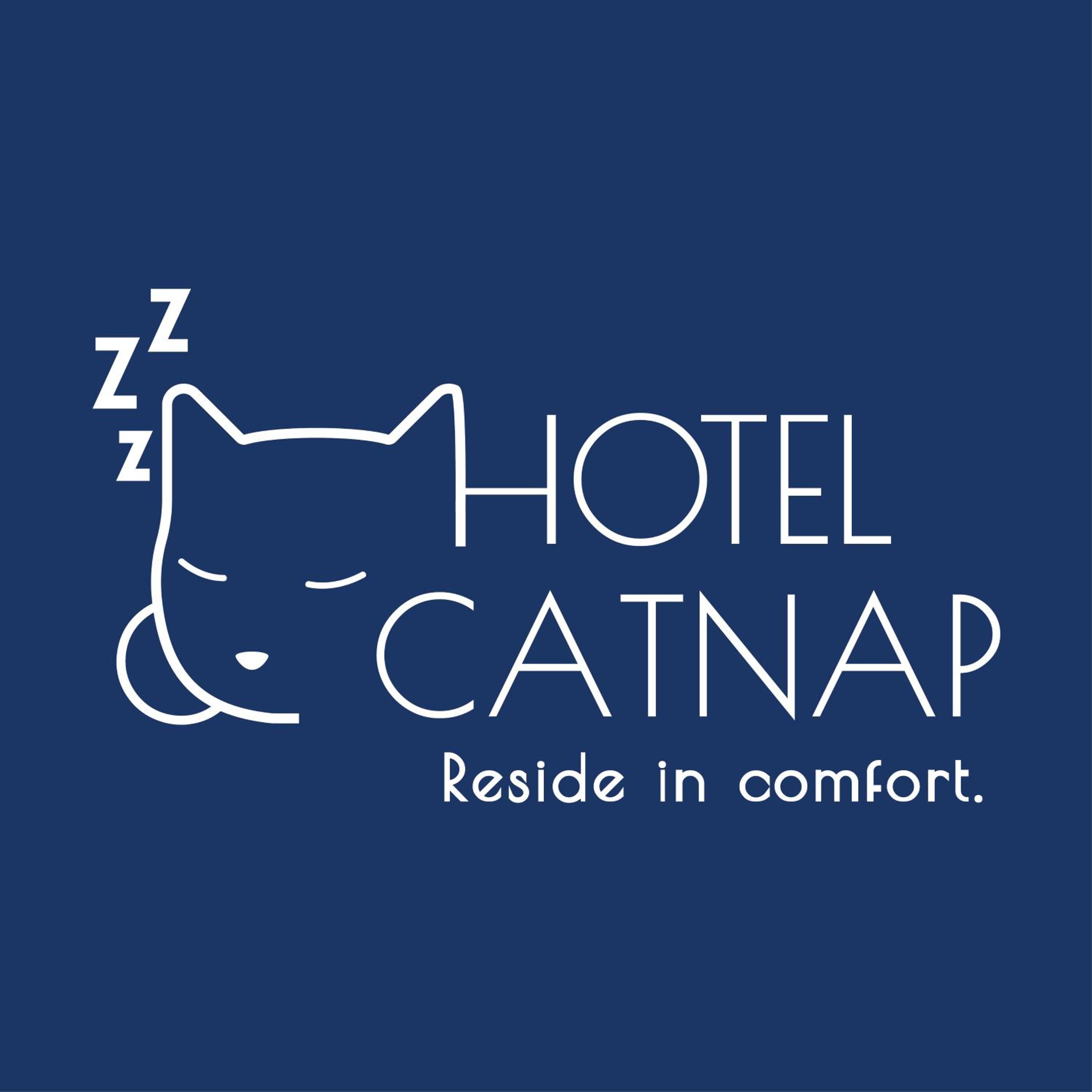 Hotel Catnap view 2