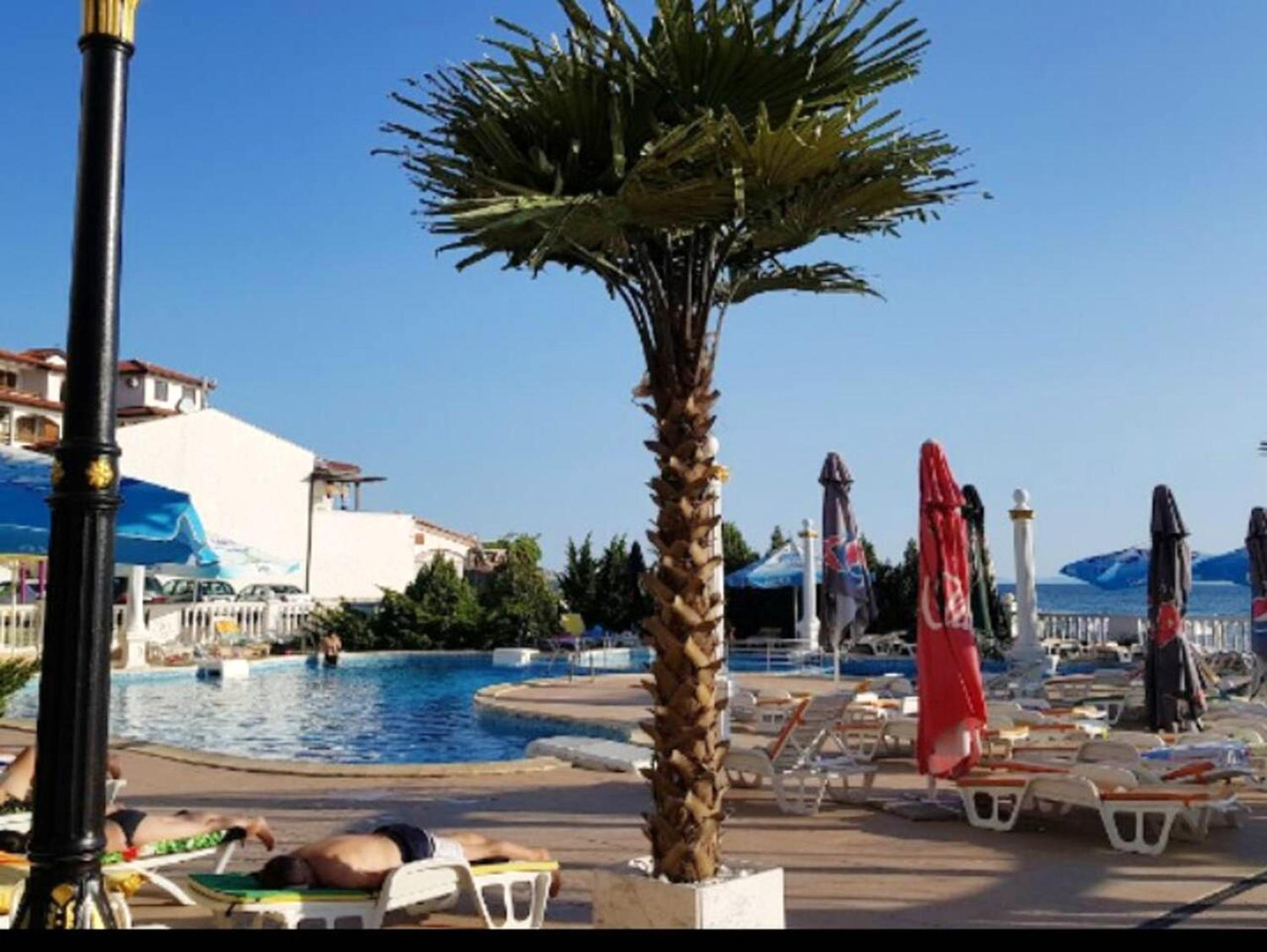 Coastal Studio with Sea View in Elenite, 40m² + Pool