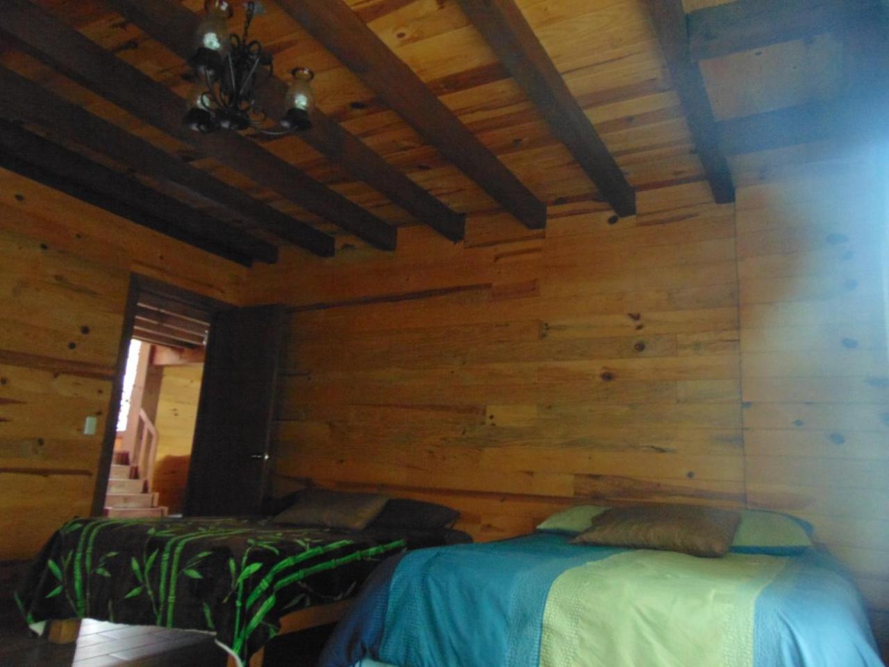 Photo 44