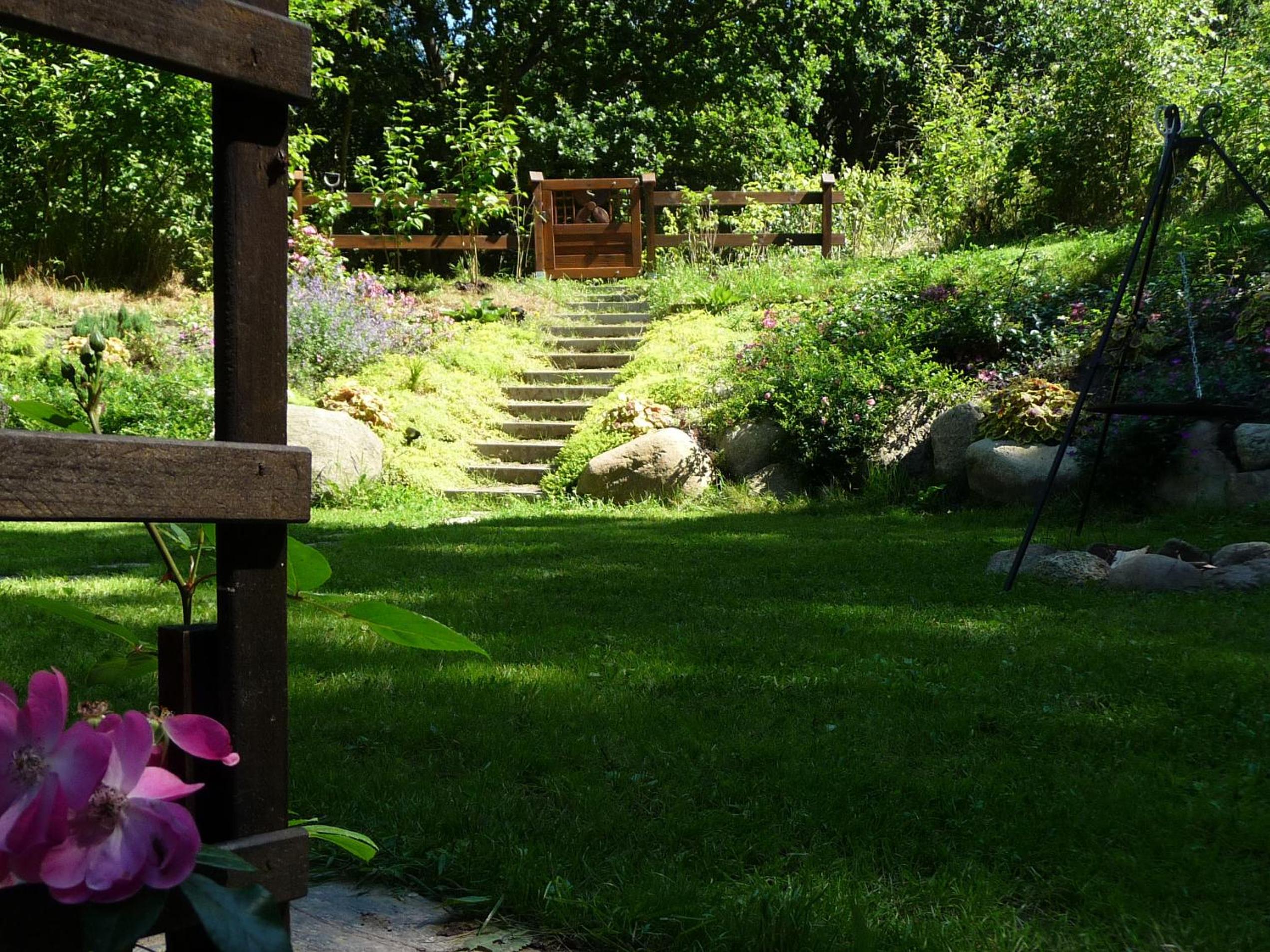 Domek w Brzozowym Lesie view 3