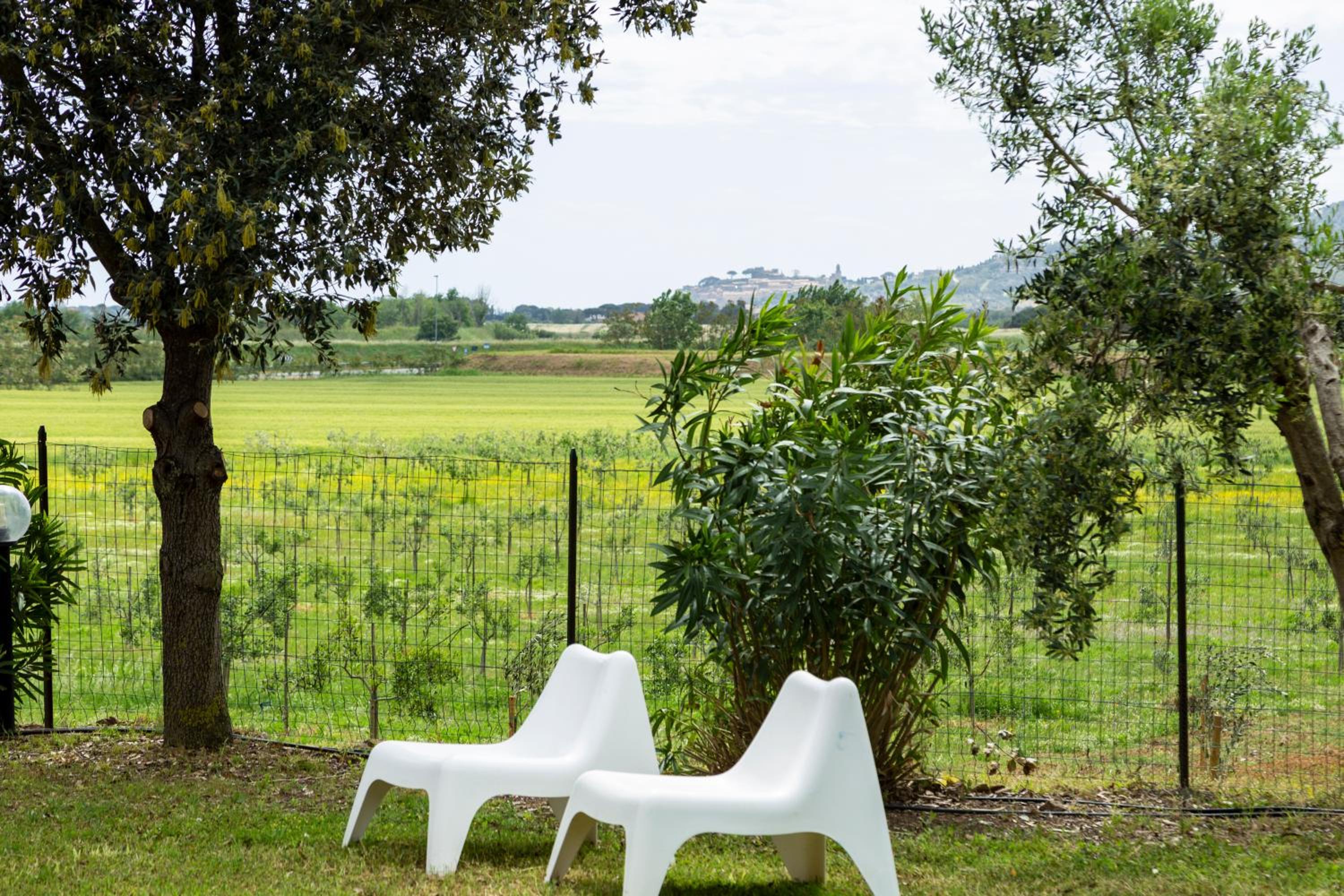 Le Pettegole del Boschetto view 3
