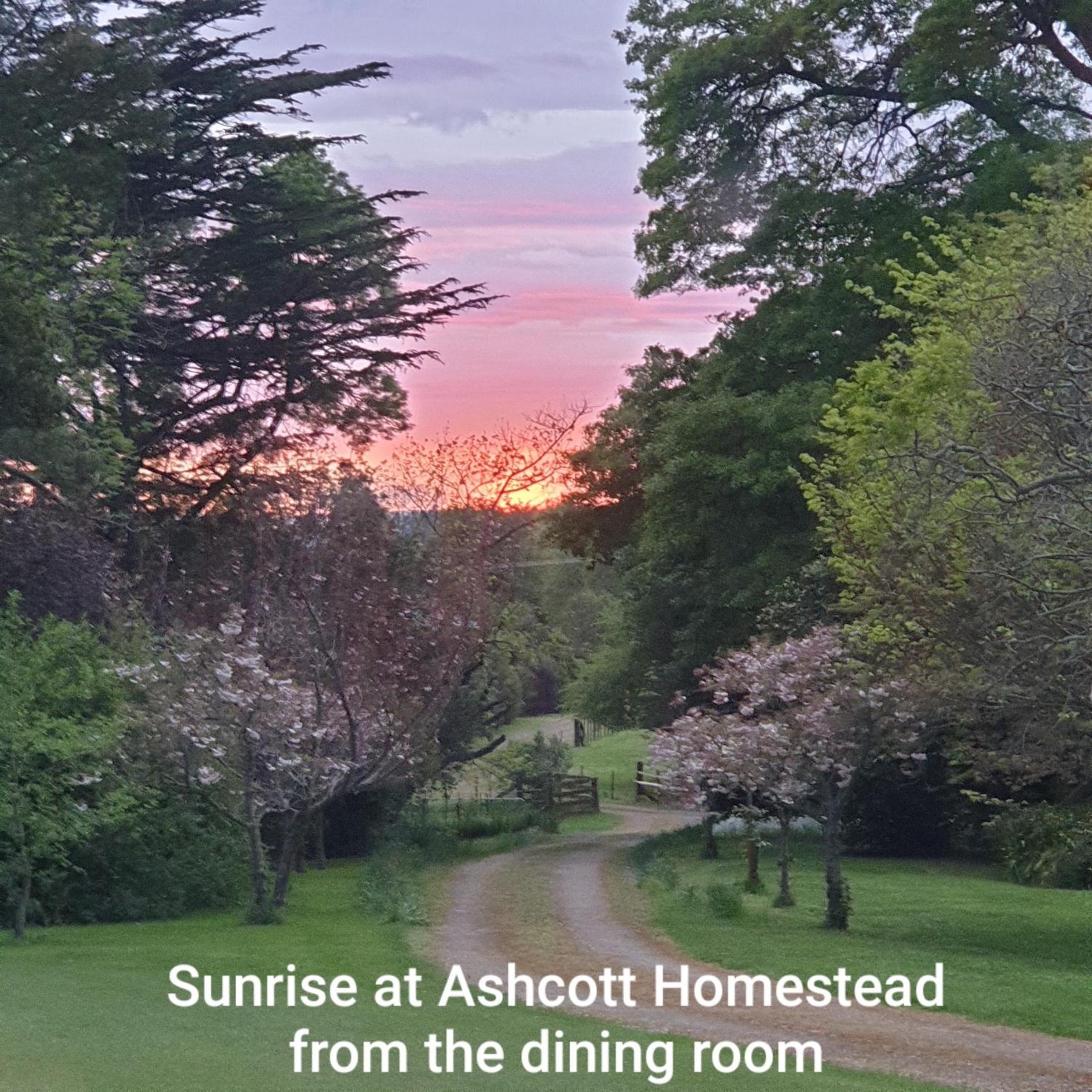 Ashcott Homestead Bed & Breakfast view 3