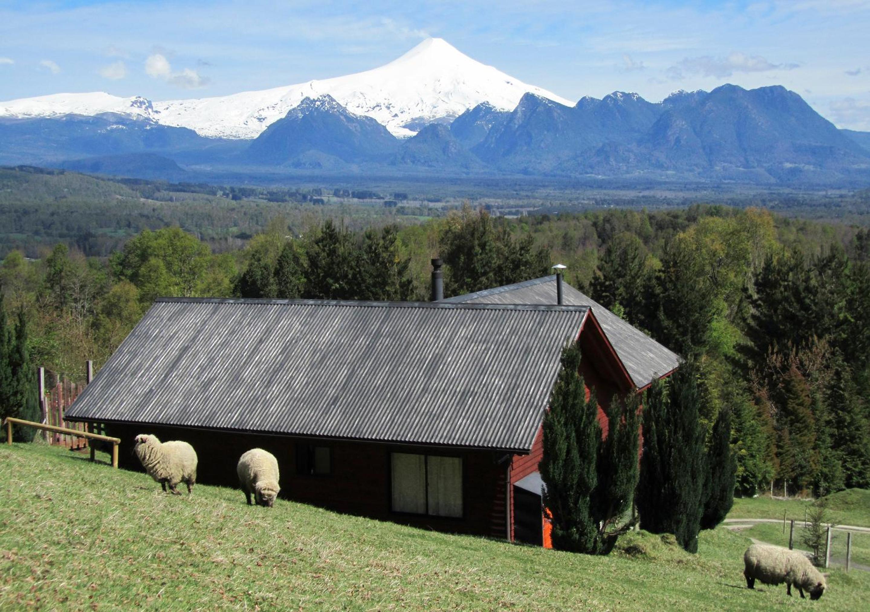 Photo 22