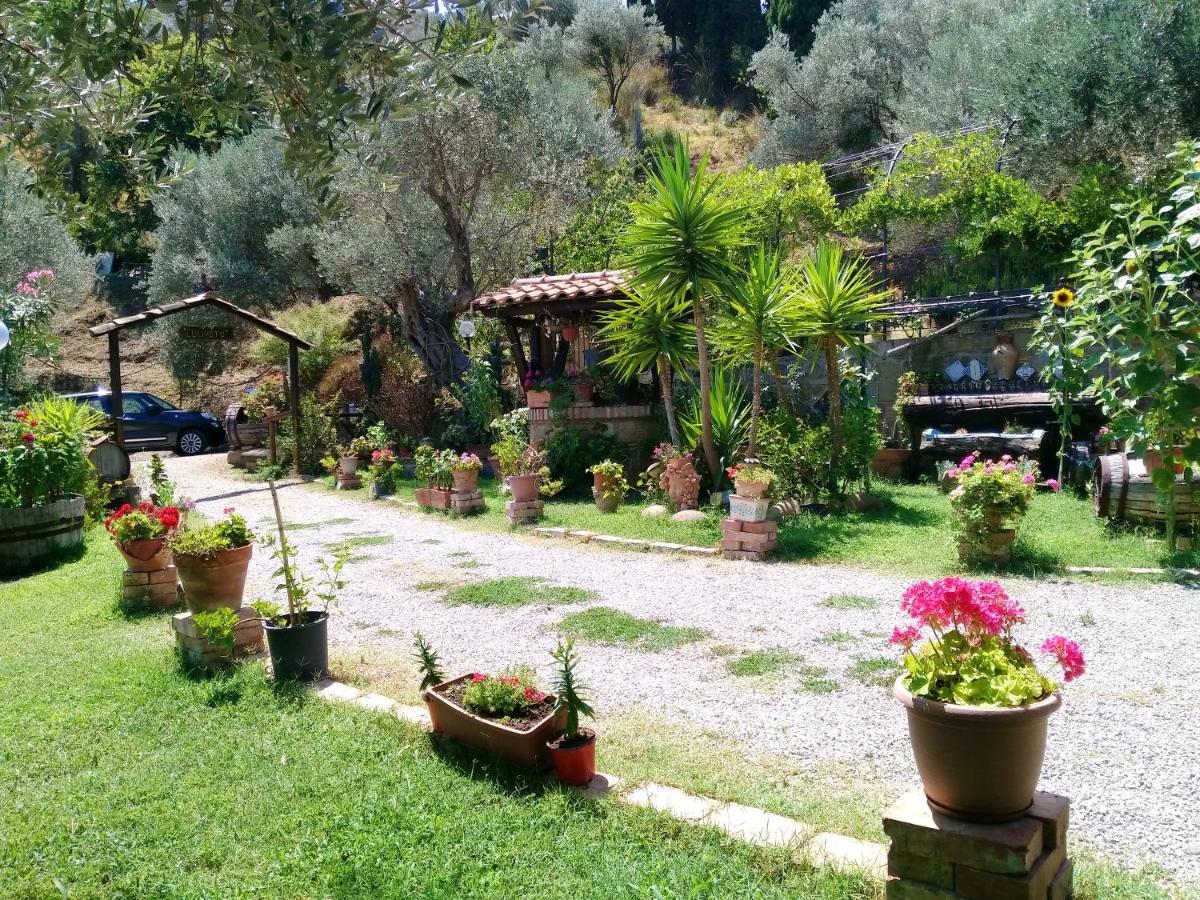 One bedroom appartement with sea view shared pool and enclosed garden at Reitano 5 km away from the beach