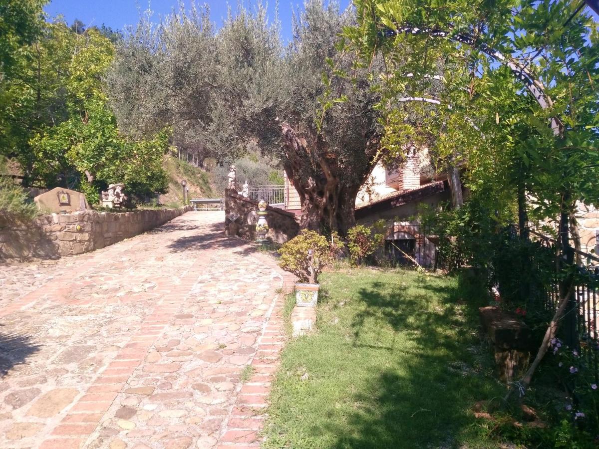 One bedroom appartement with sea view shared pool and enclosed garden at Reitano 5 km away from the beach