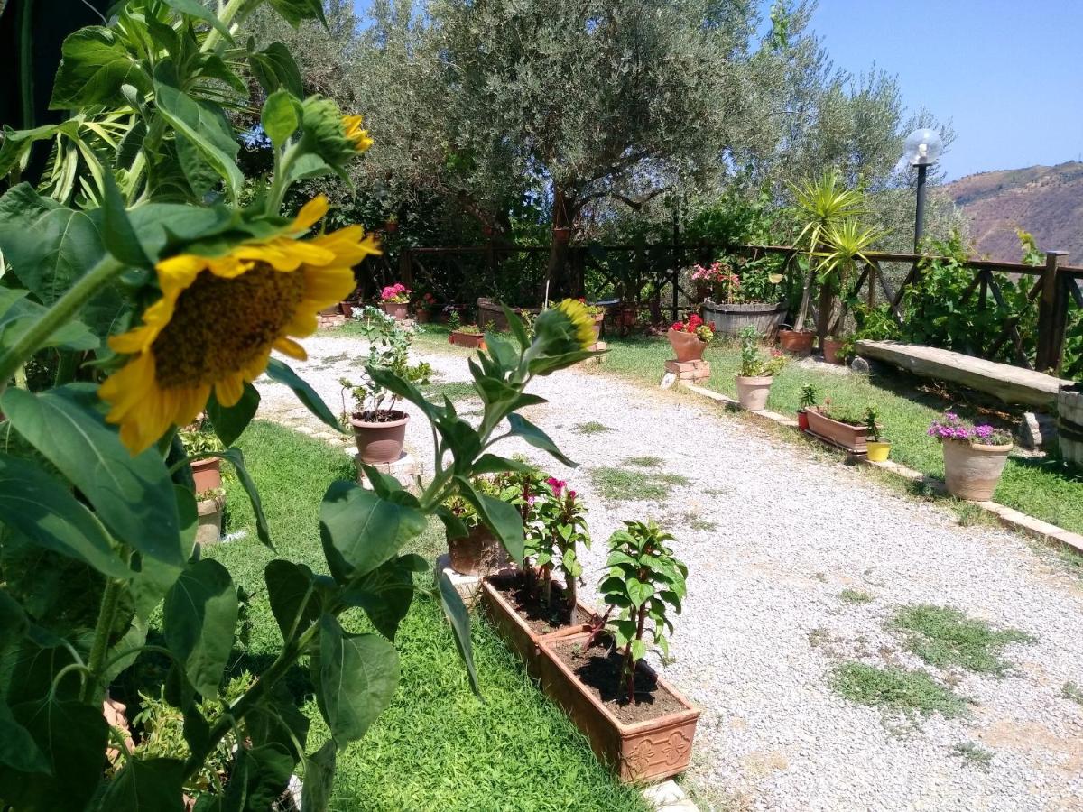 One bedroom appartement with sea view shared pool and enclosed garden at Reitano 5 km away from the beach