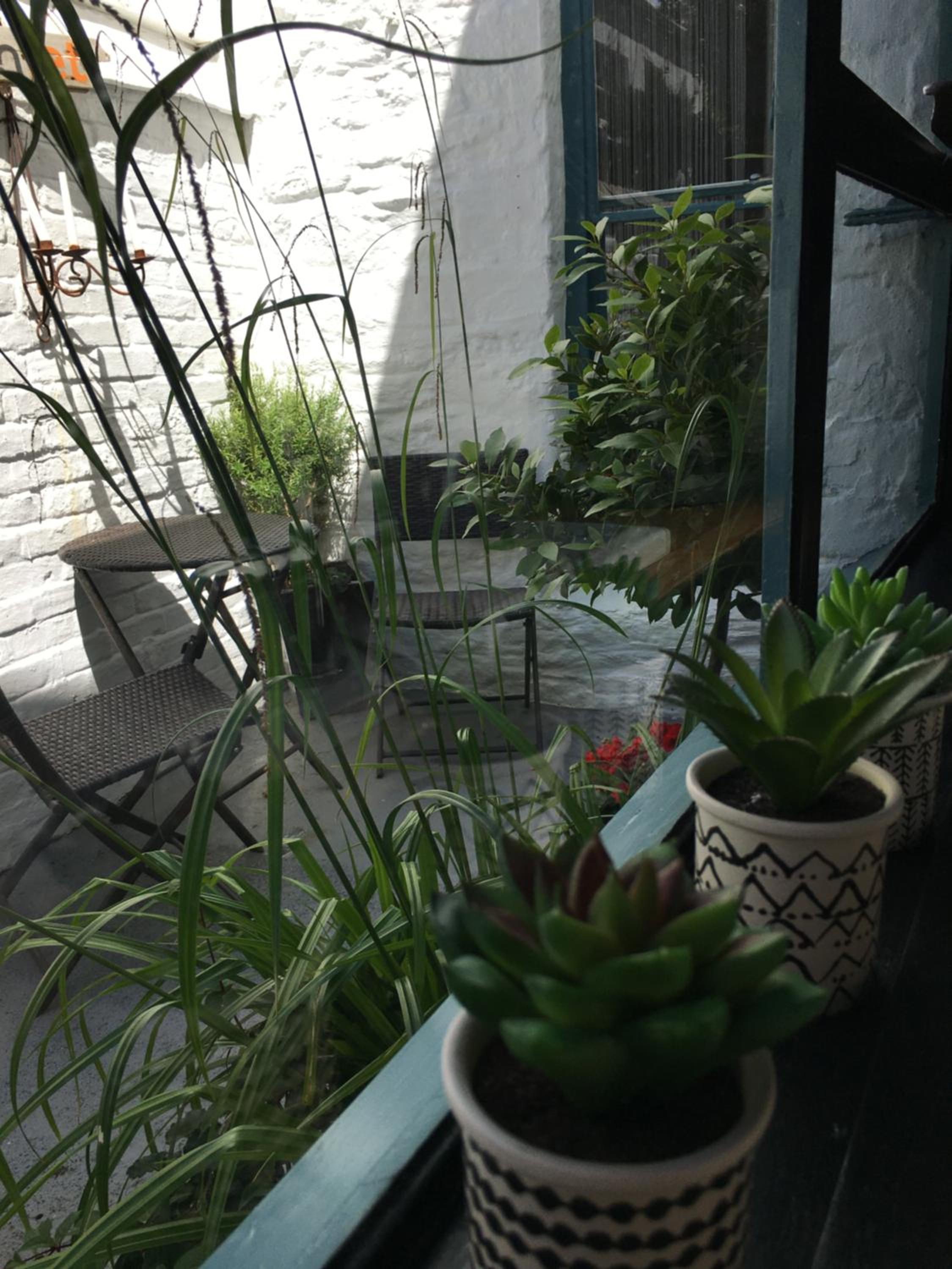 Photo 7