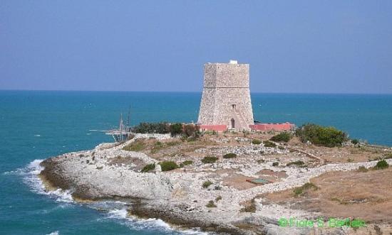 Photo 30