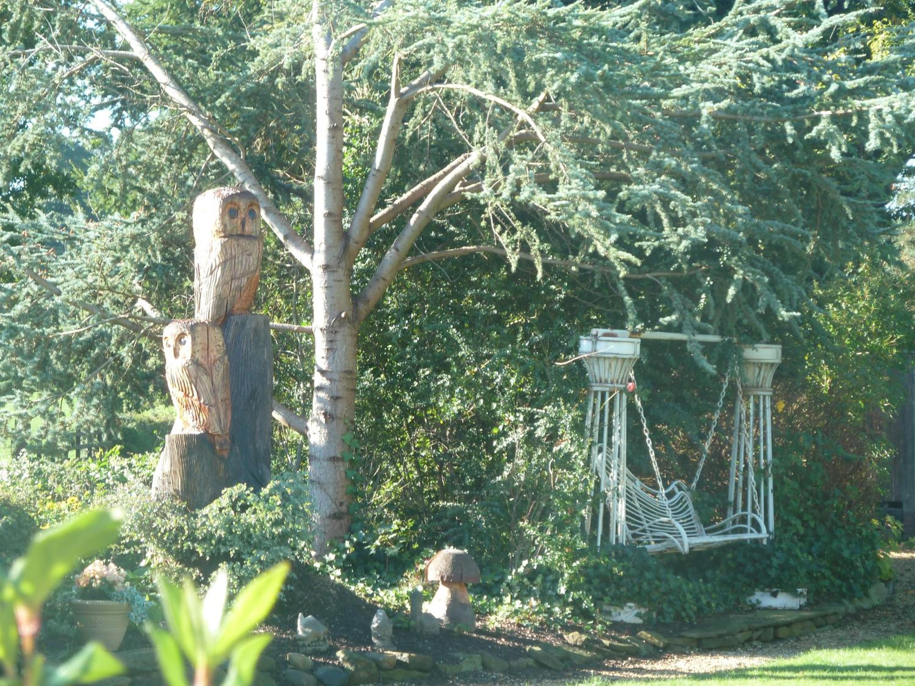 Photo 47