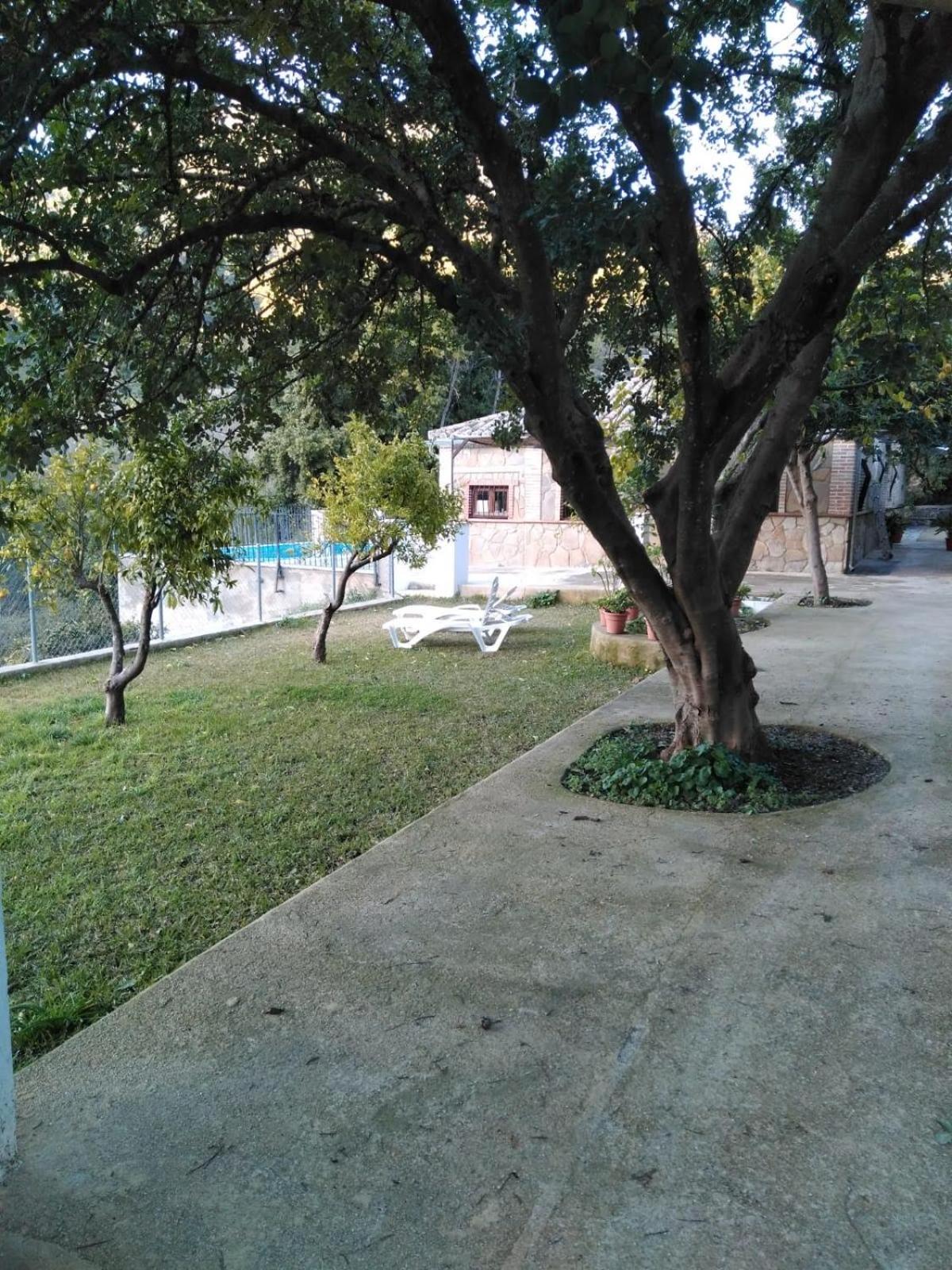 Photo 7