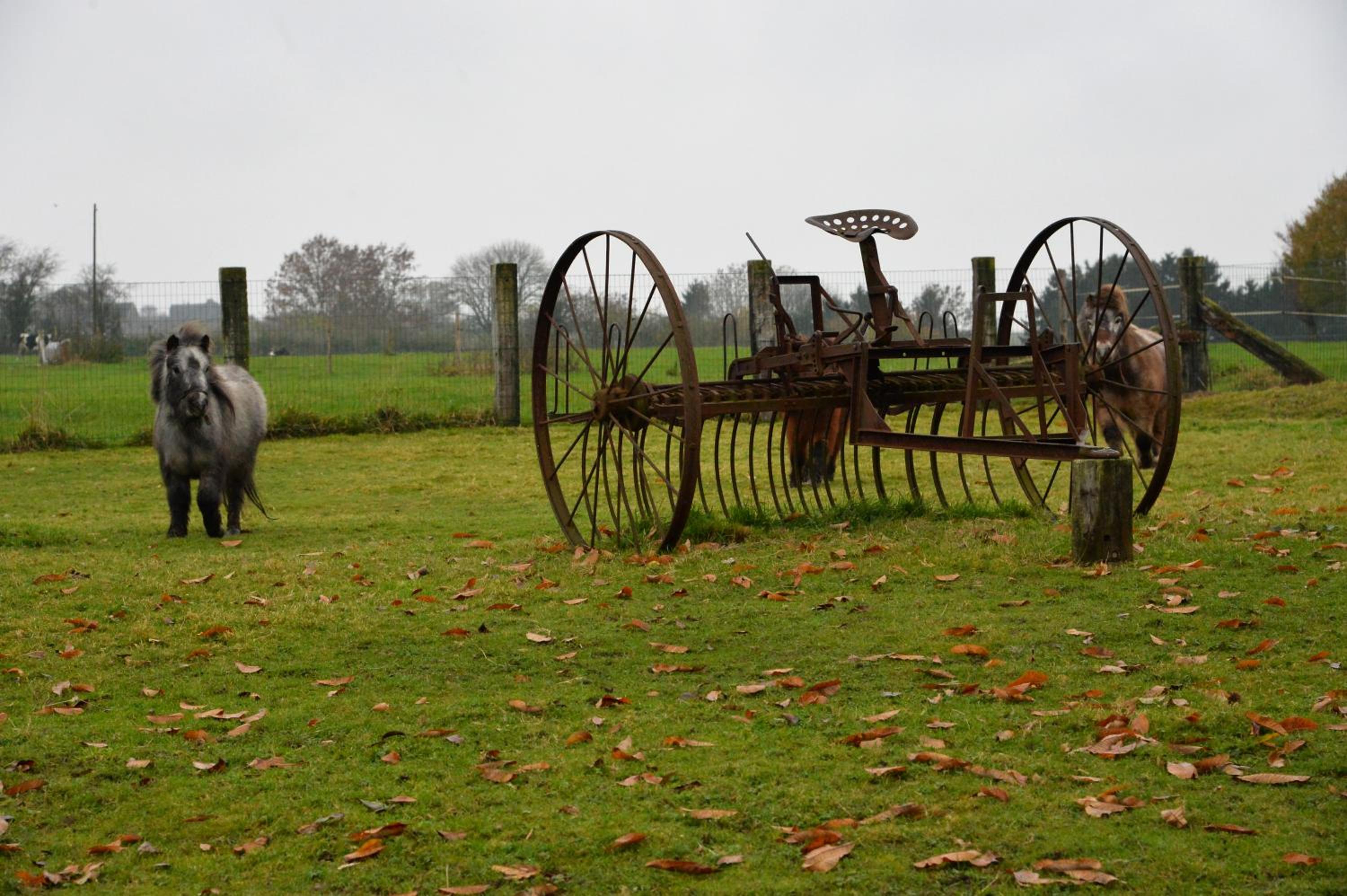 Gîtes de Chevémont