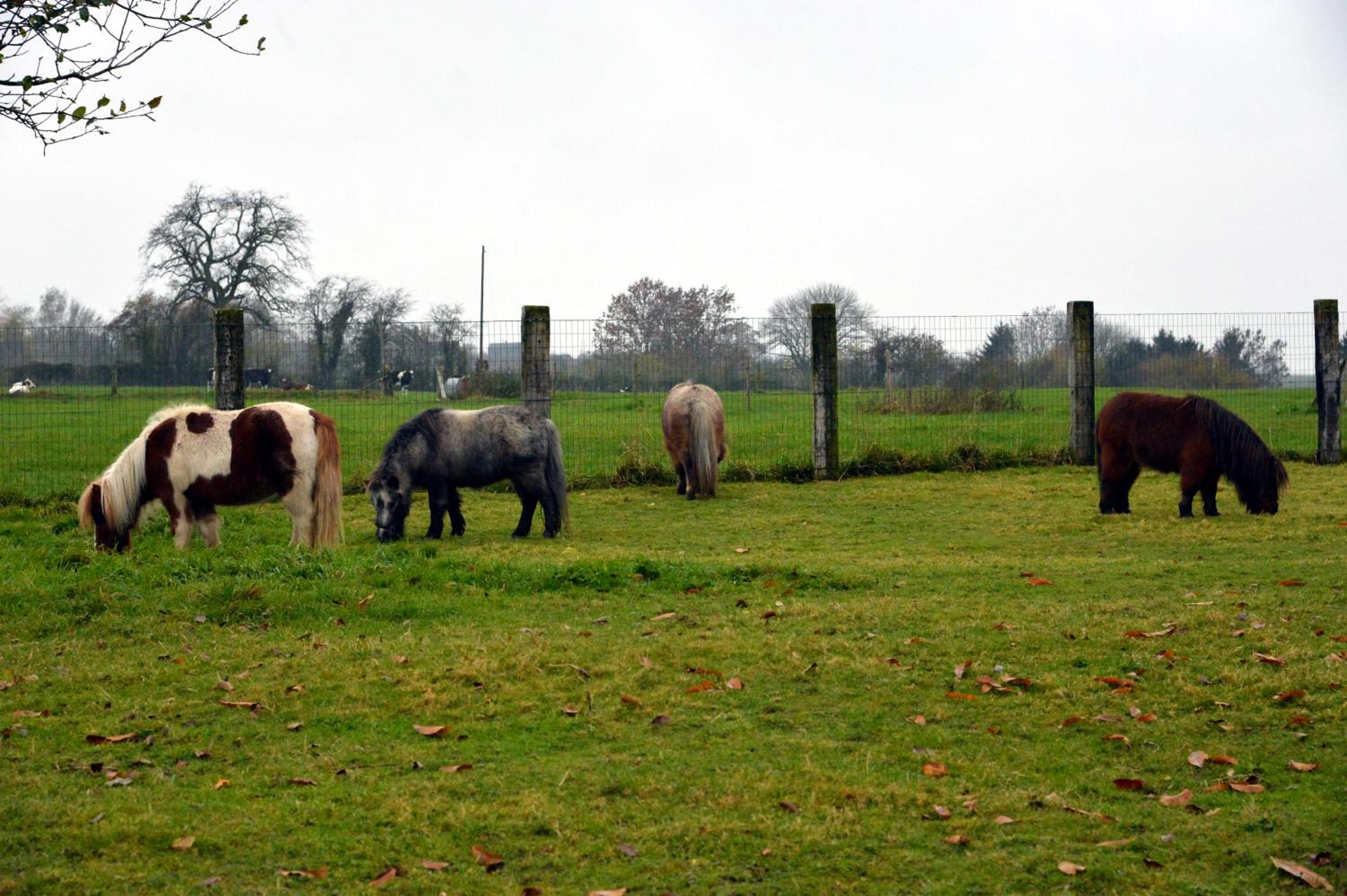 Gîtes de Chevémont
