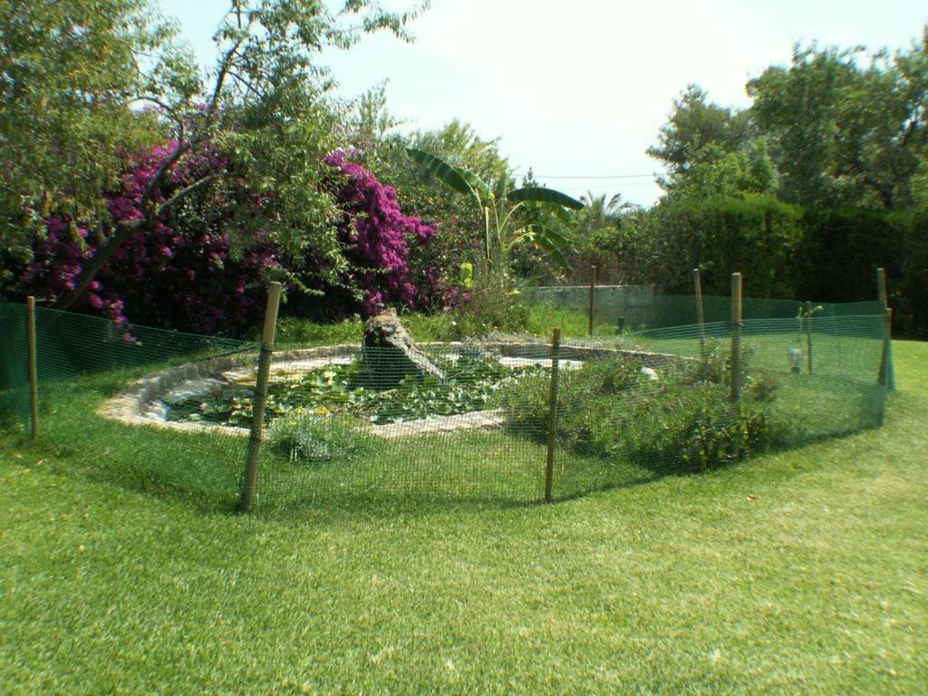 Photo 16