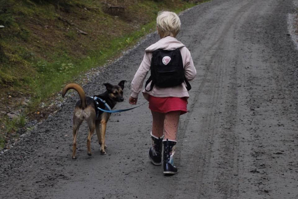 human