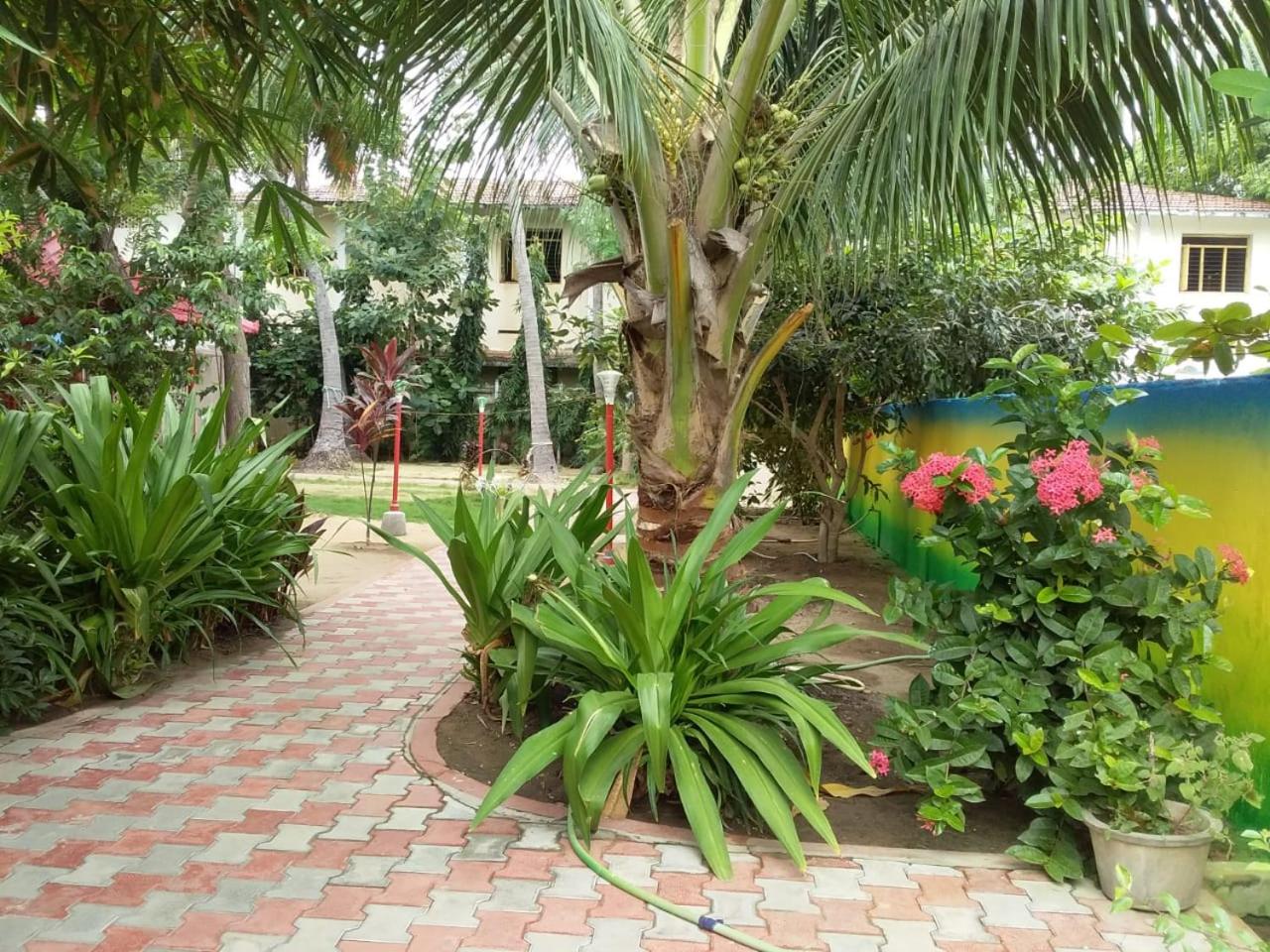 Photo 19