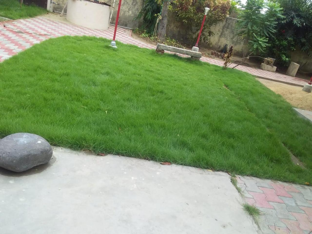 Photo 20