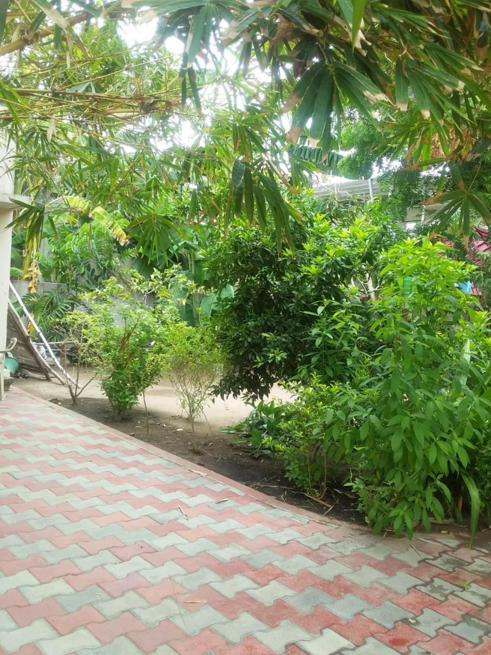 Photo 35