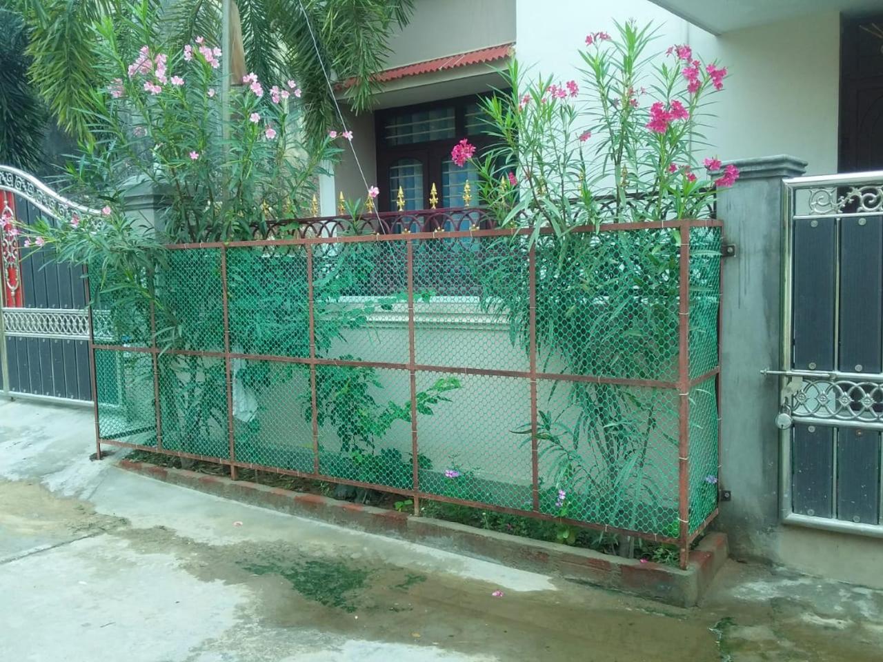 Photo 38
