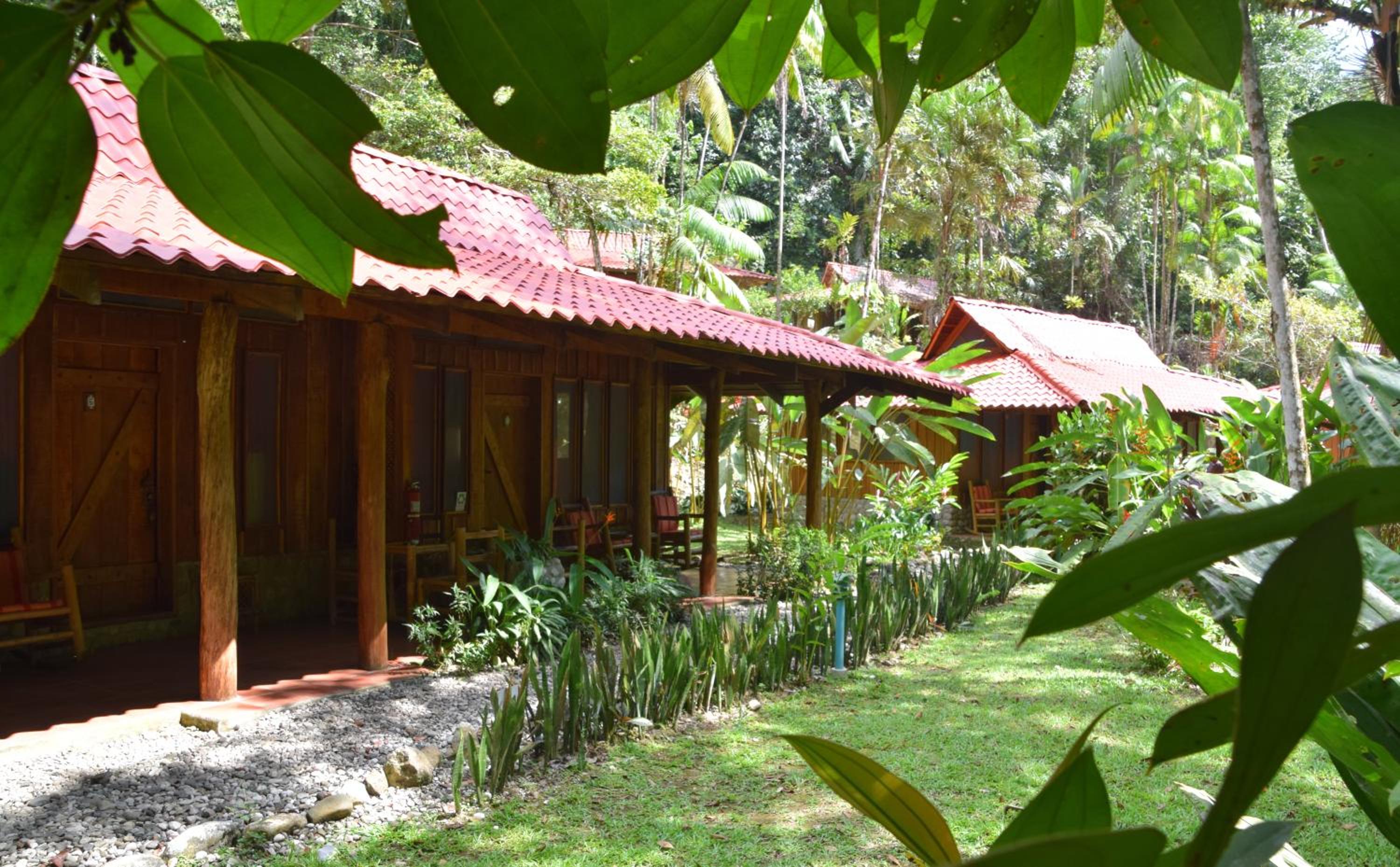 Esquinas Rainforest Lodge