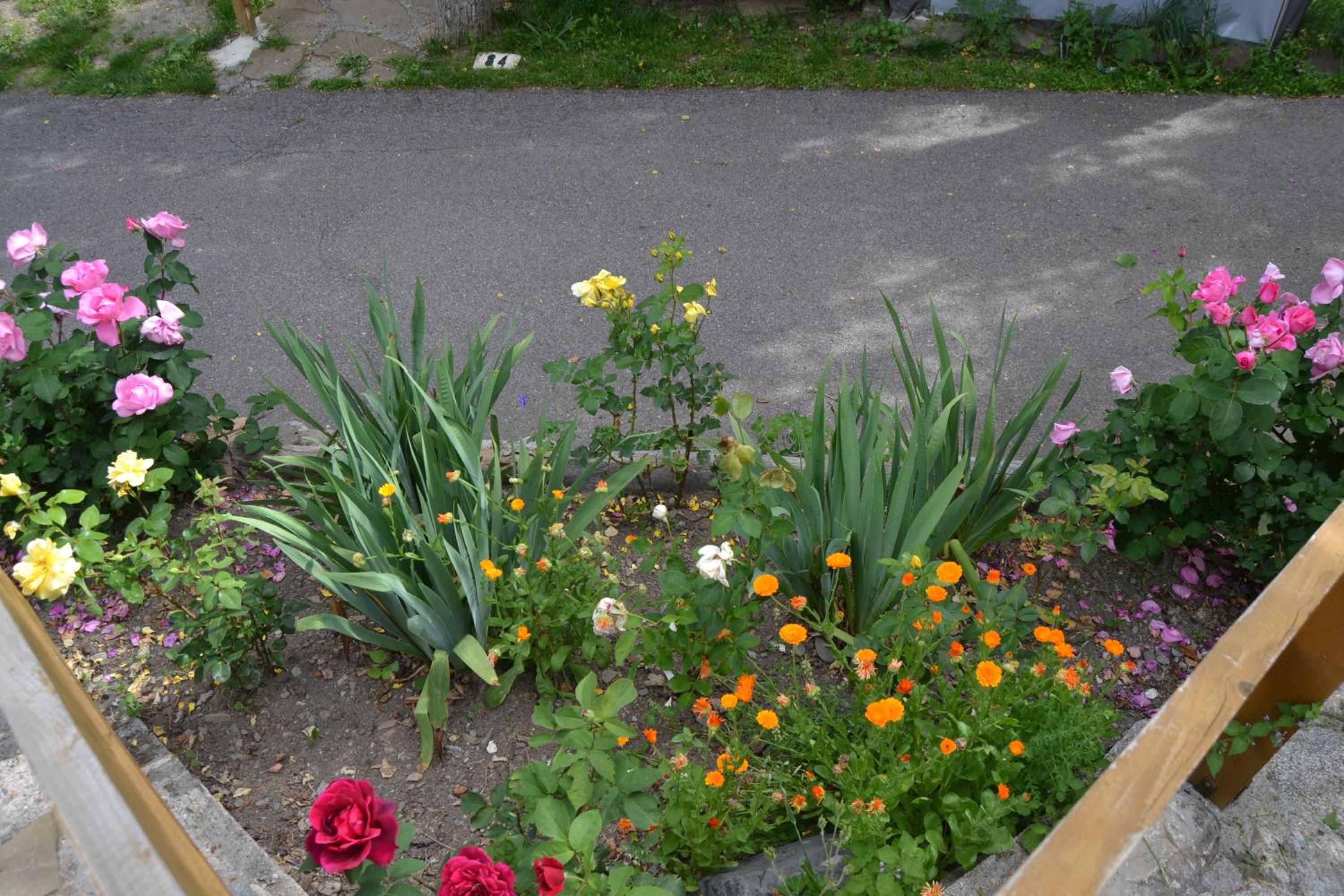 Photo 54