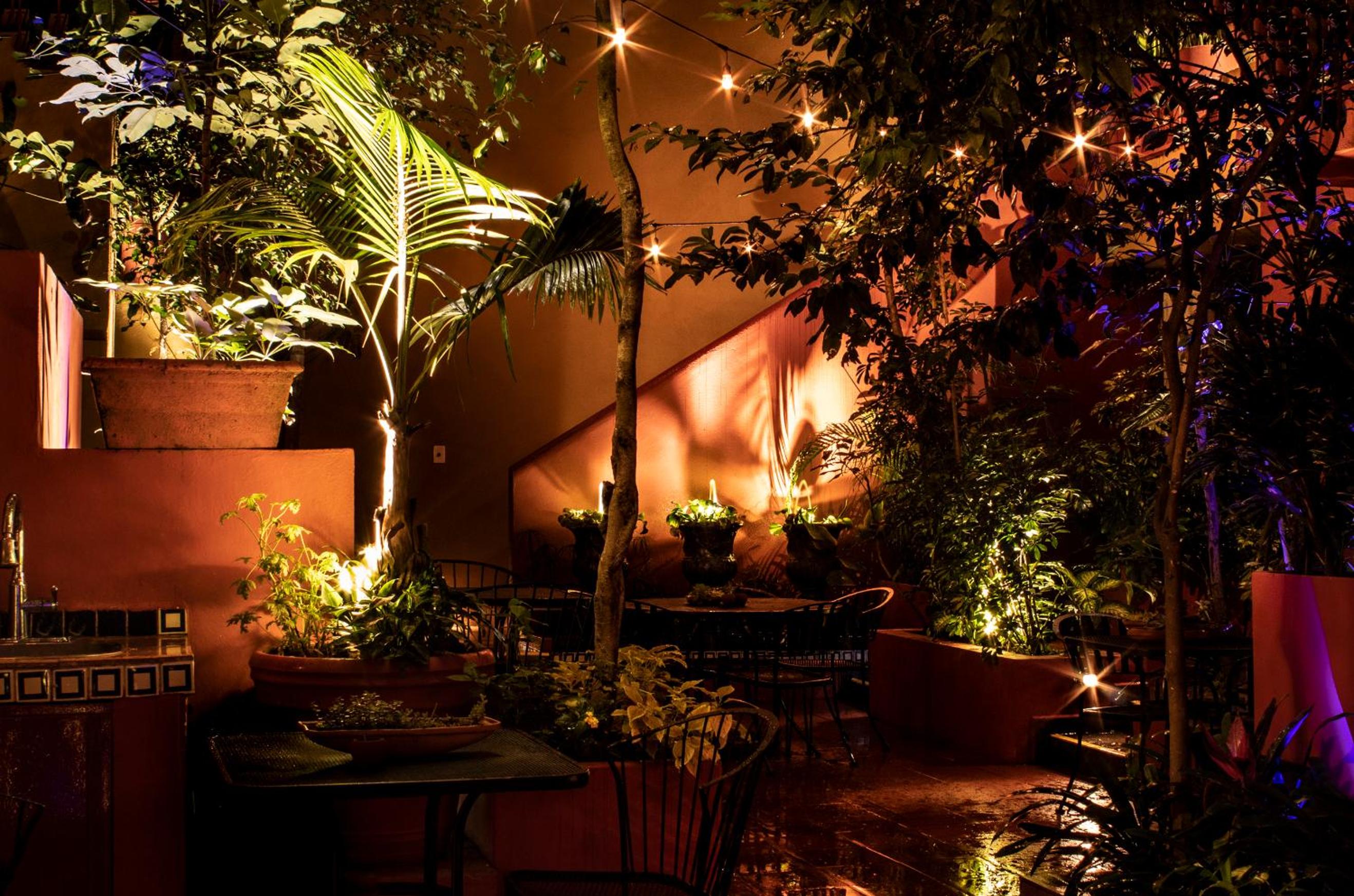 The Red Tree House photo 3