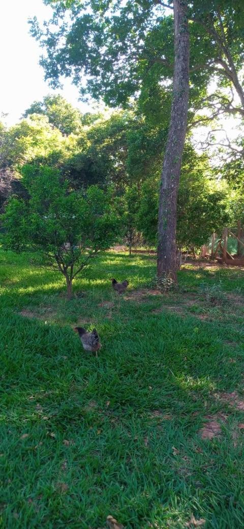 Chalés Jardim da Serra