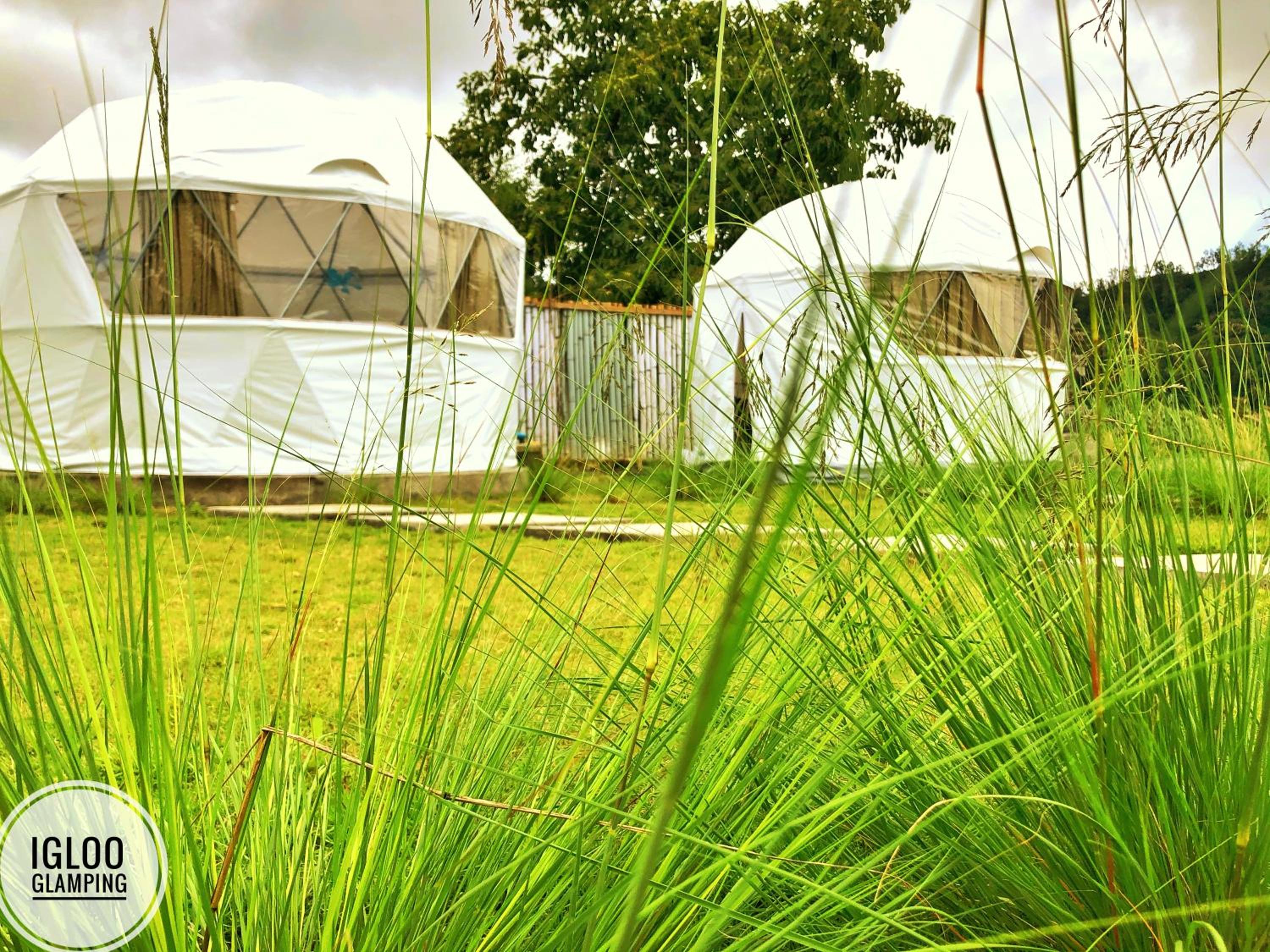 Igloo Glamping Bali view 2