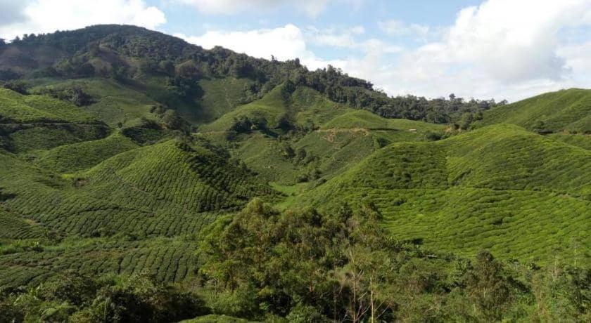 Primark Holiday Apartment Cameron Highlands photo 2