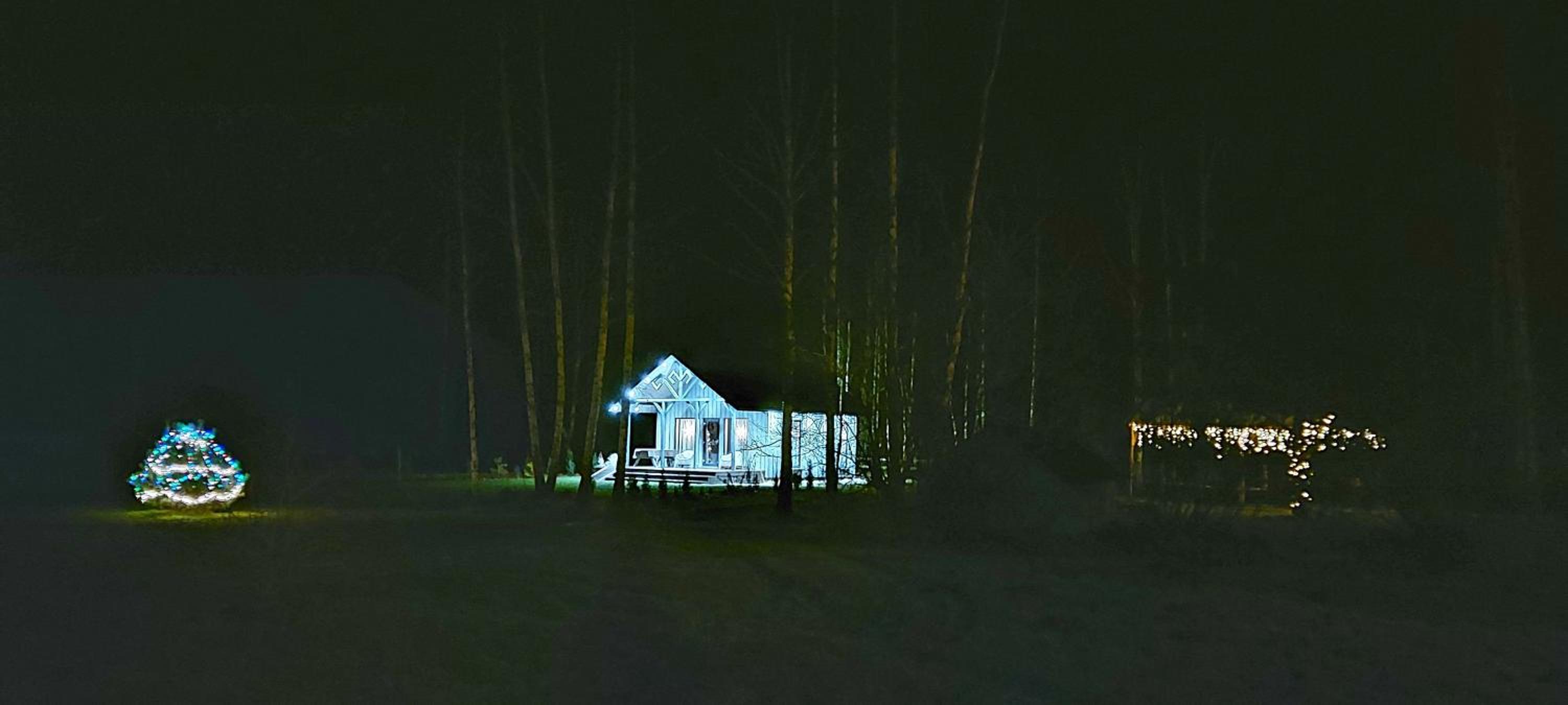 Photo 42