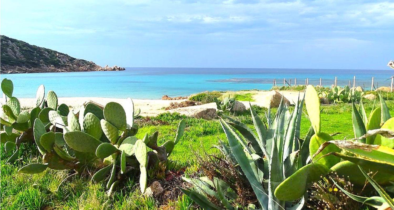 Résidence Fioravanti Villas Valinco view 3