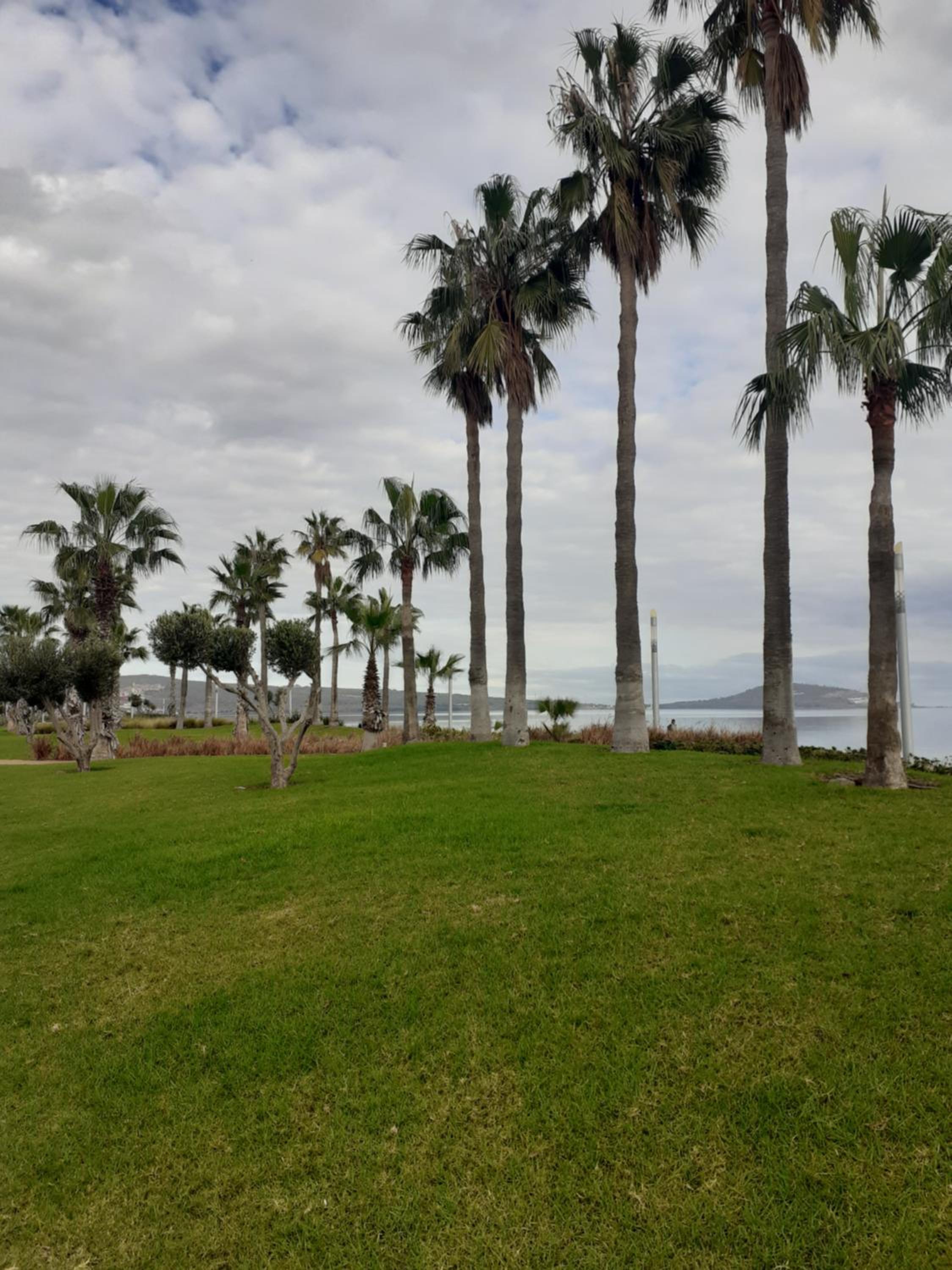 Apartamento cerca del mar view 5