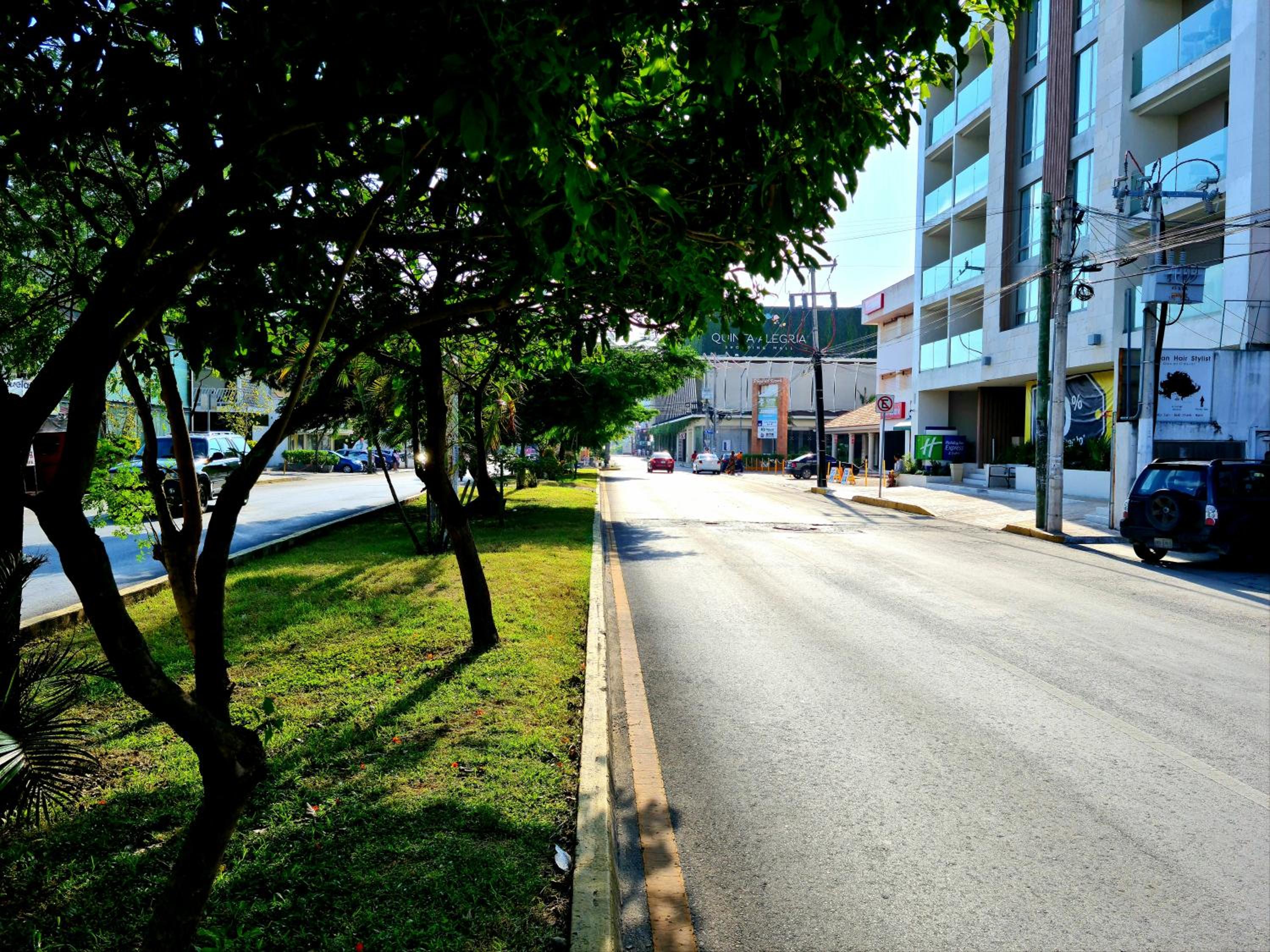 Photo 44