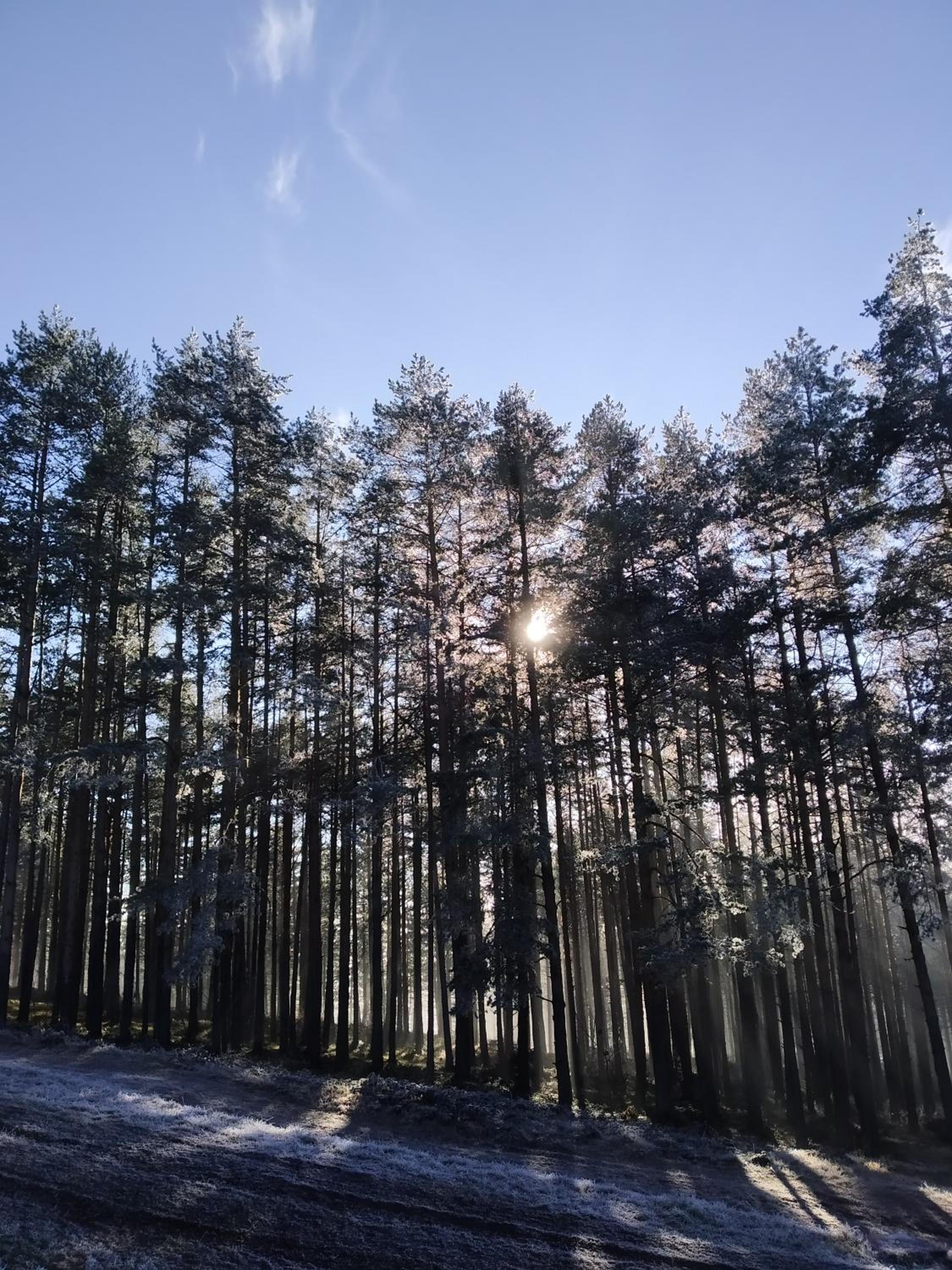 Apartman Libra Zlatibor view 5