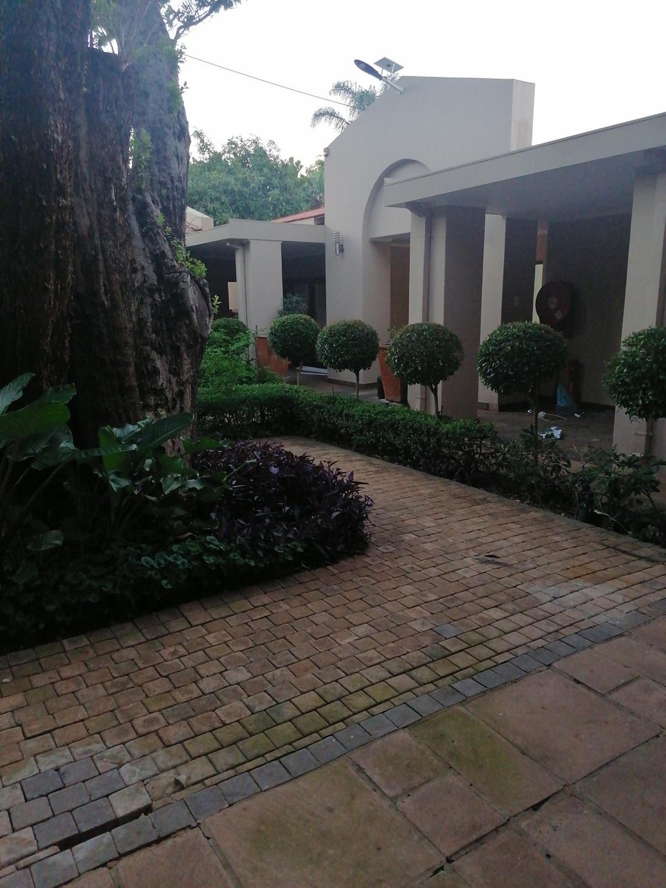 Photo 33