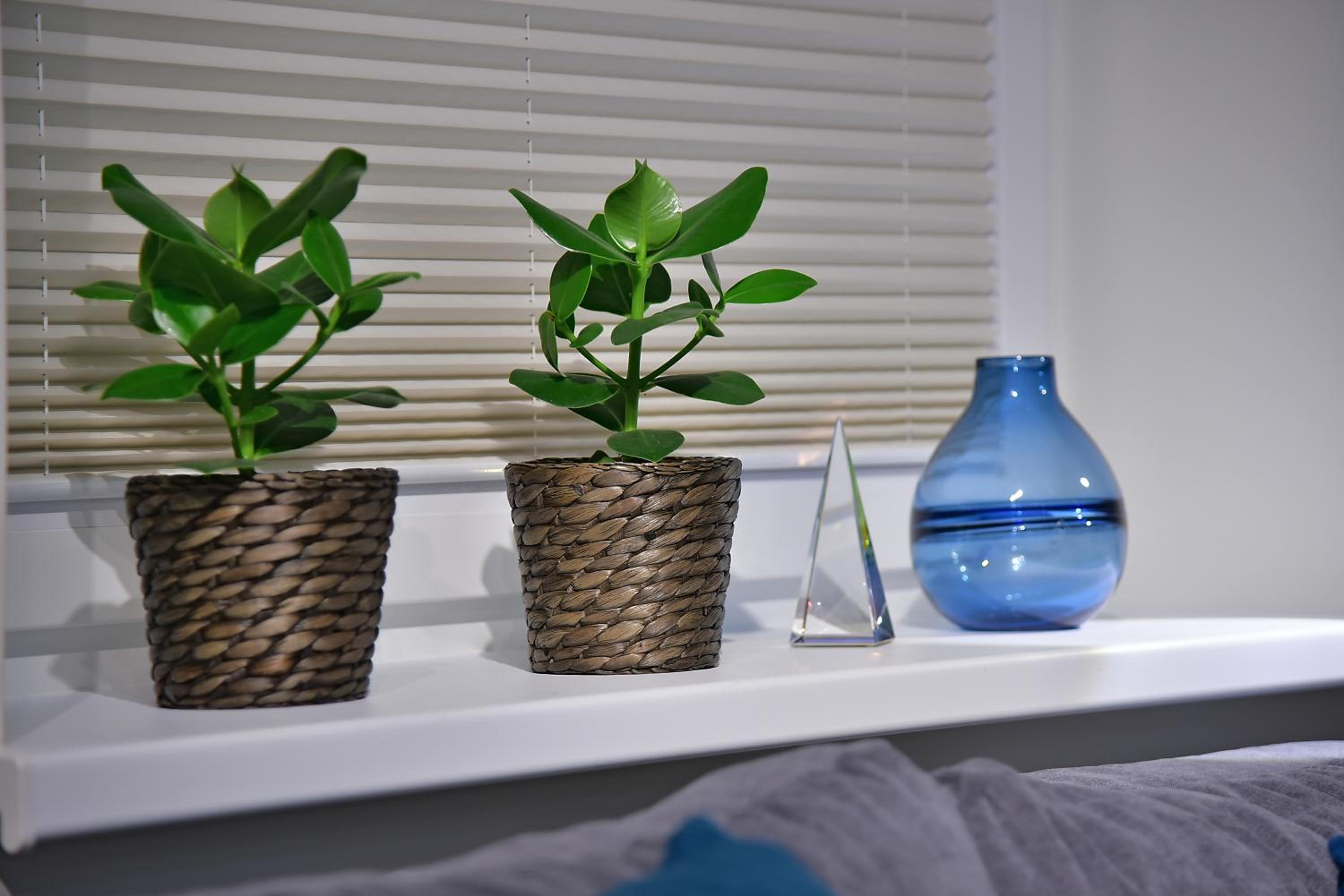 Apartamenty Sjesta River, photo 12