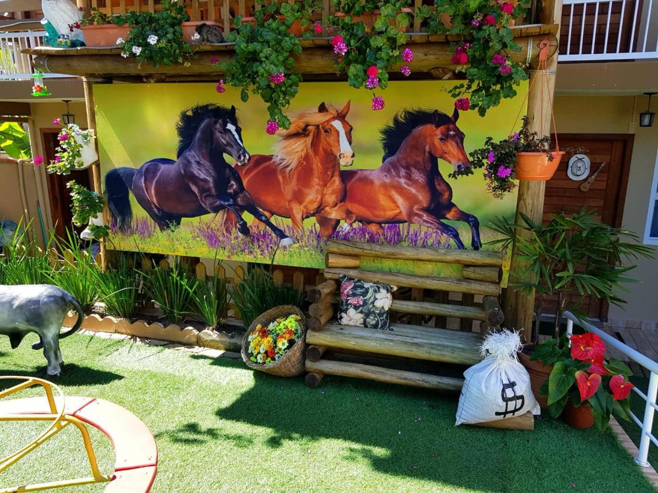 Pousada Alegria do Cowboy view 4