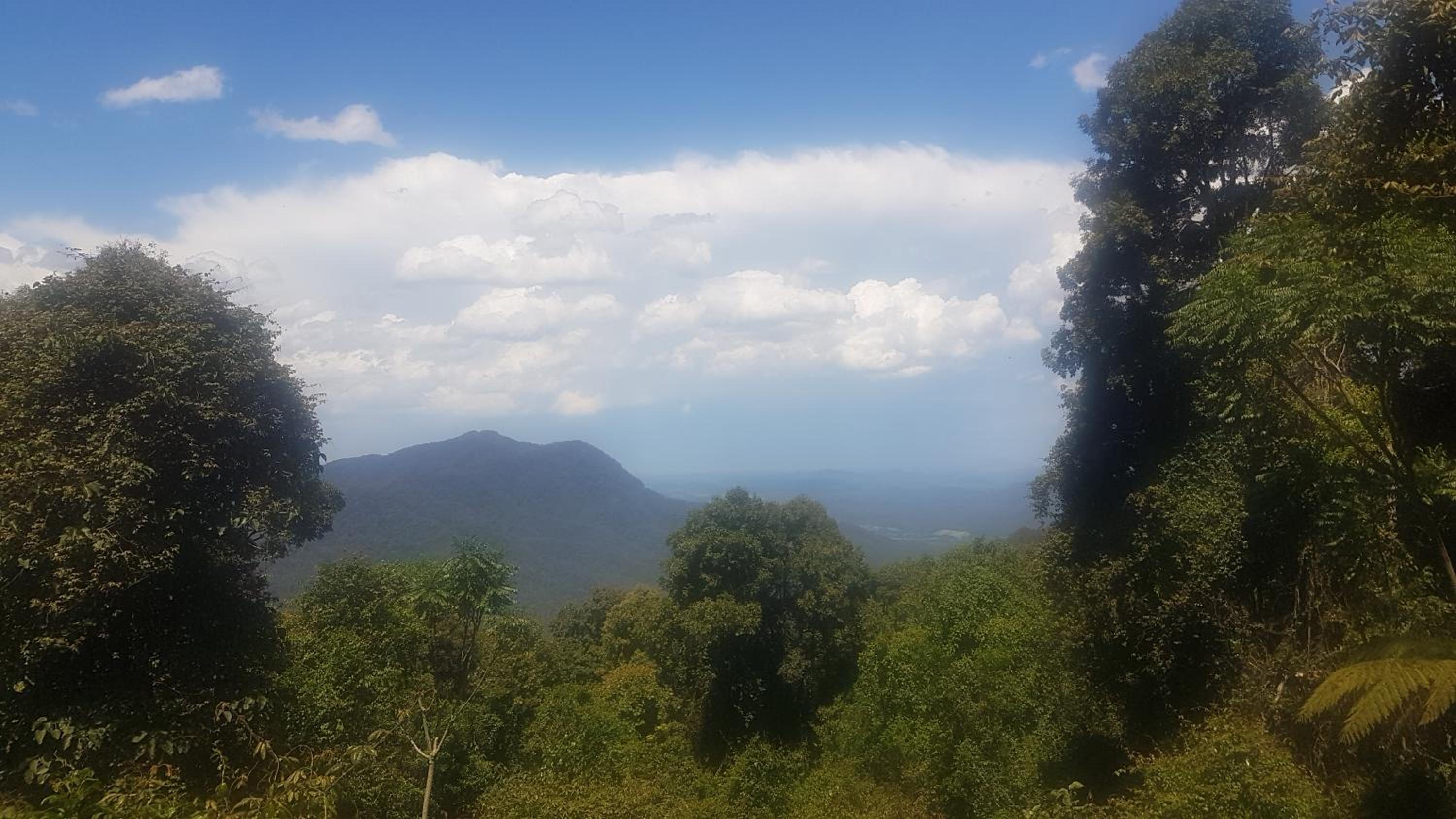 Dorrigo Bush Pepper Retreat