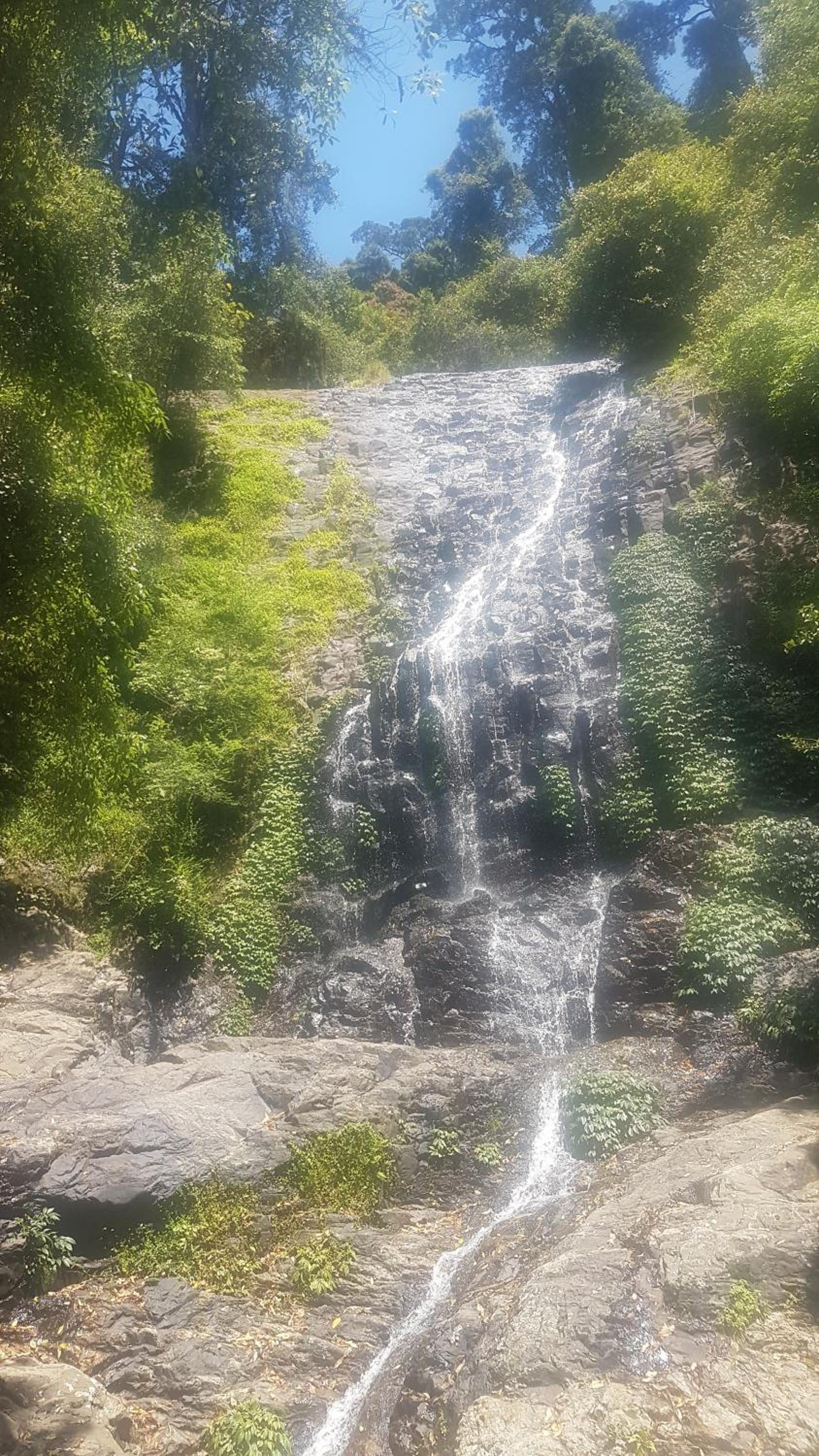 Dorrigo Bush Pepper Retreat